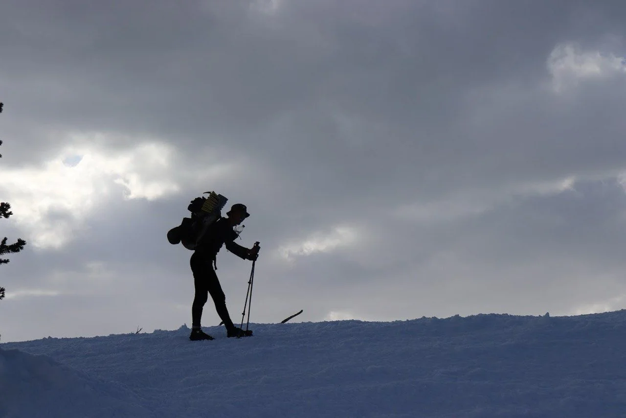 Guided snowshoe safari through snowy forests in Oulu