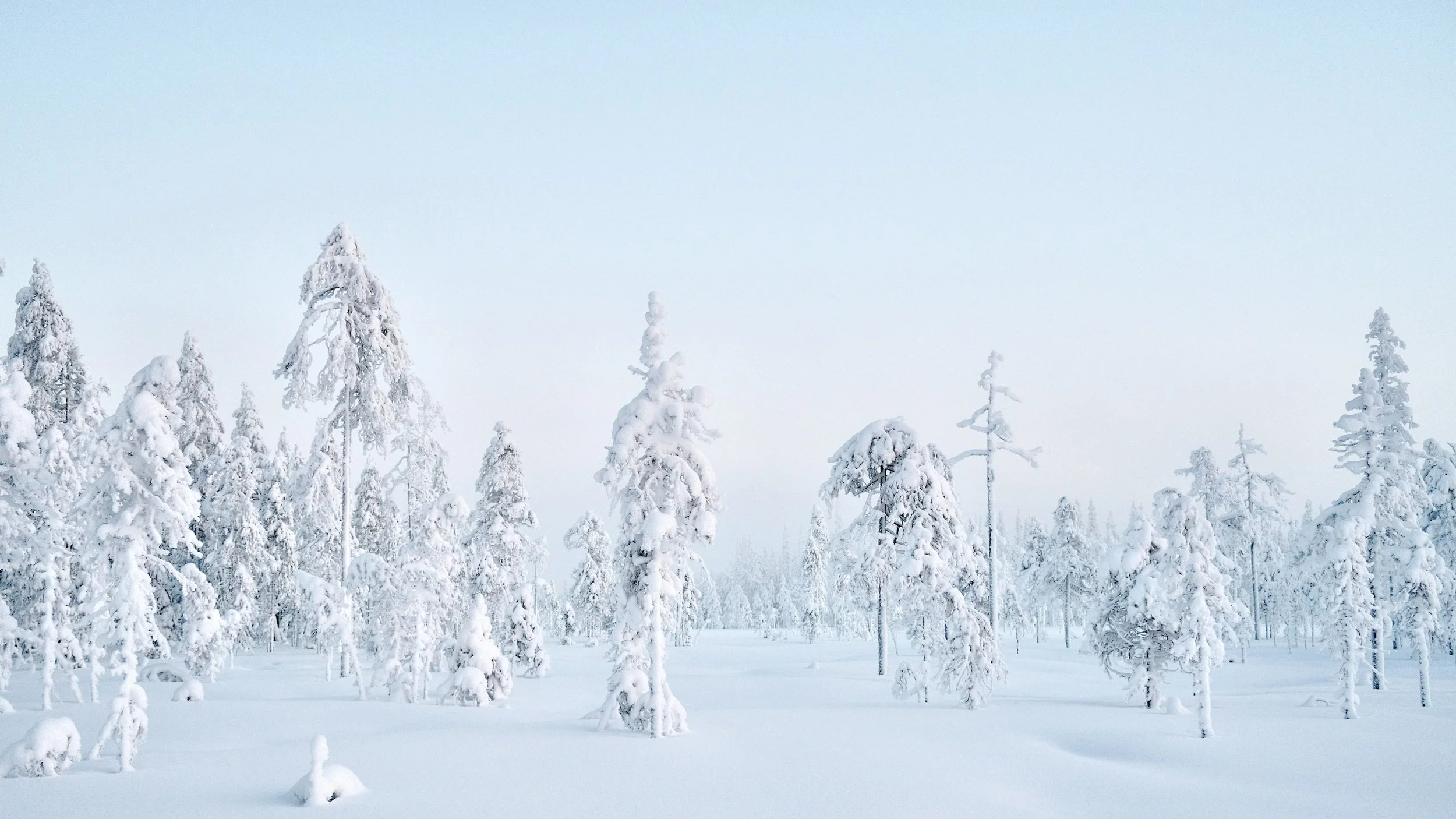 herowinter.jpg