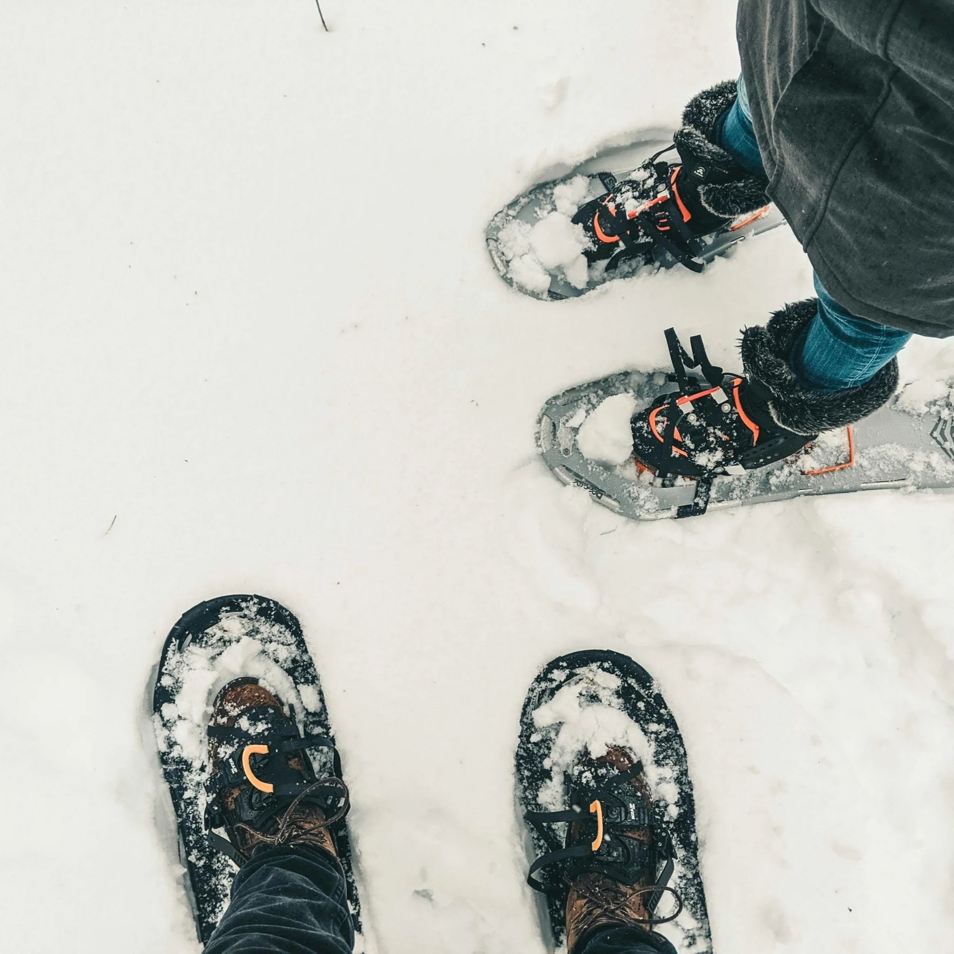 Close-up of snowshoes on fresh snow during a winter nature tour