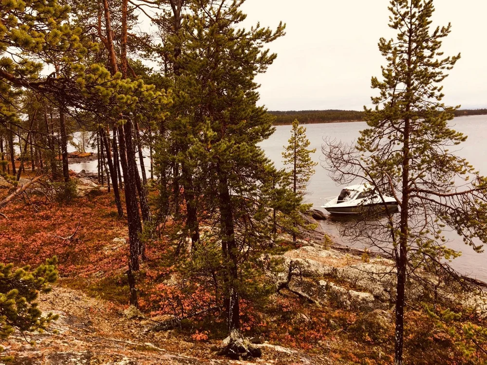Private overnight wilderness retreat in Northern Finland