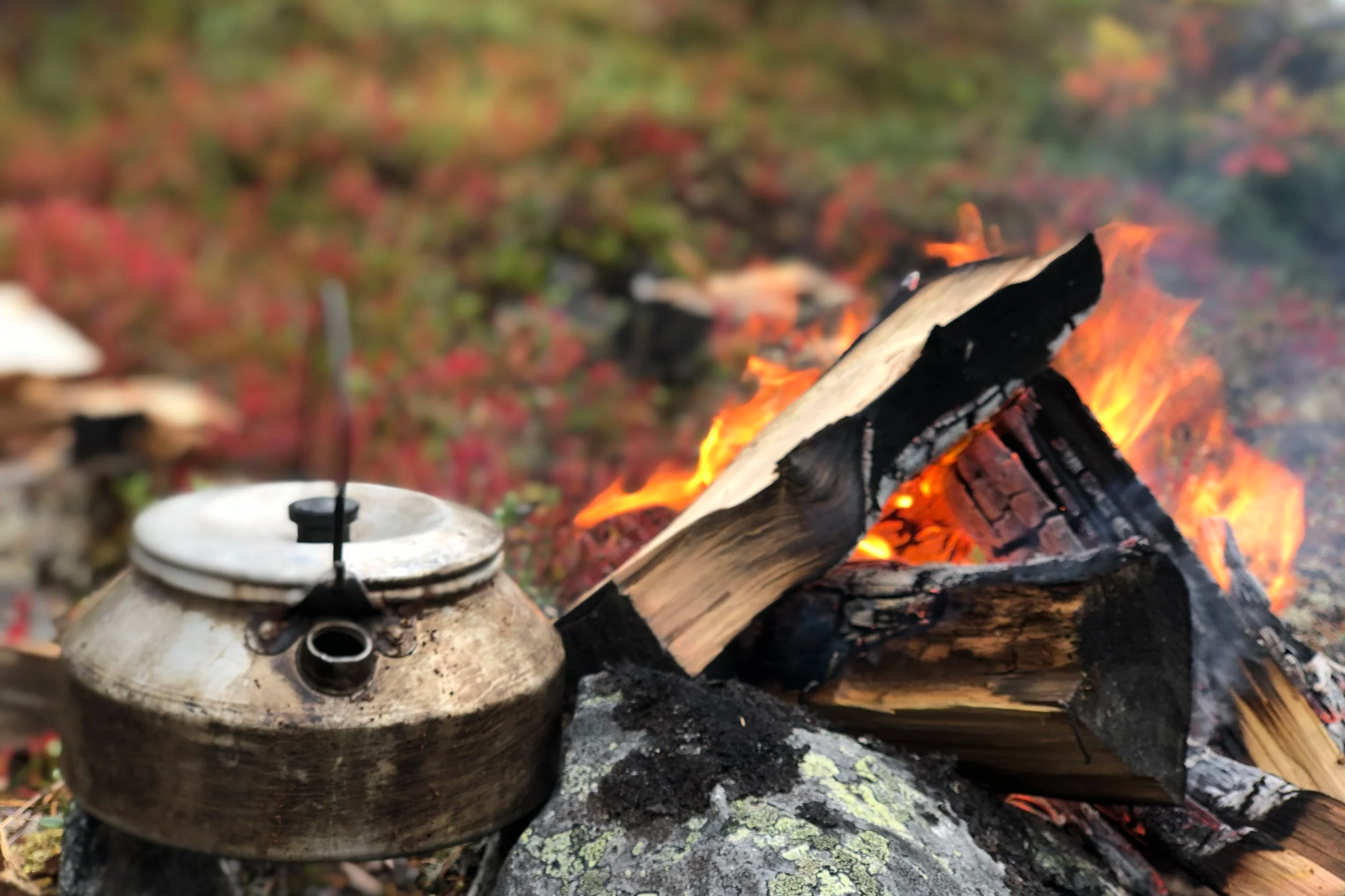 A kettle sitting on a fire with logs burning nearby in an outdoor setting with autumn foliage.