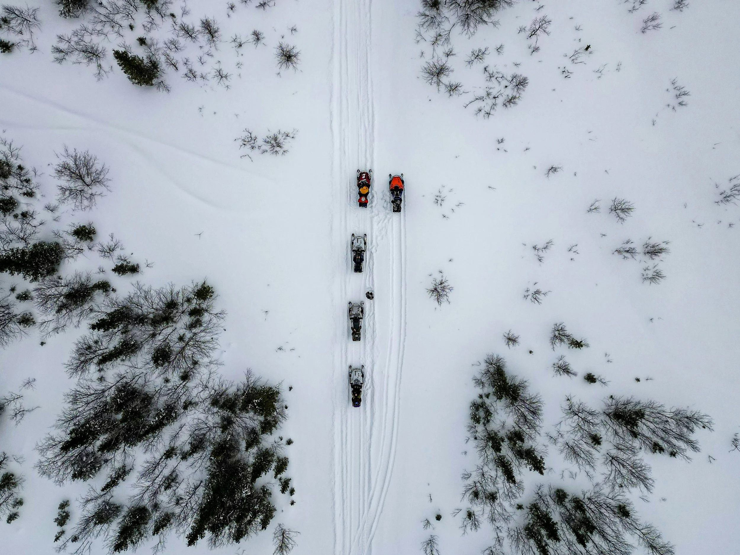 snowmobiles.jpg