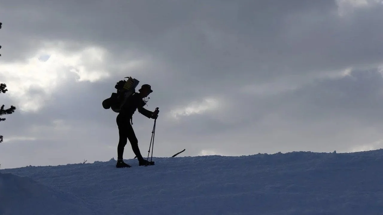 Private snowshoeing tour through snowy forests near Oulu