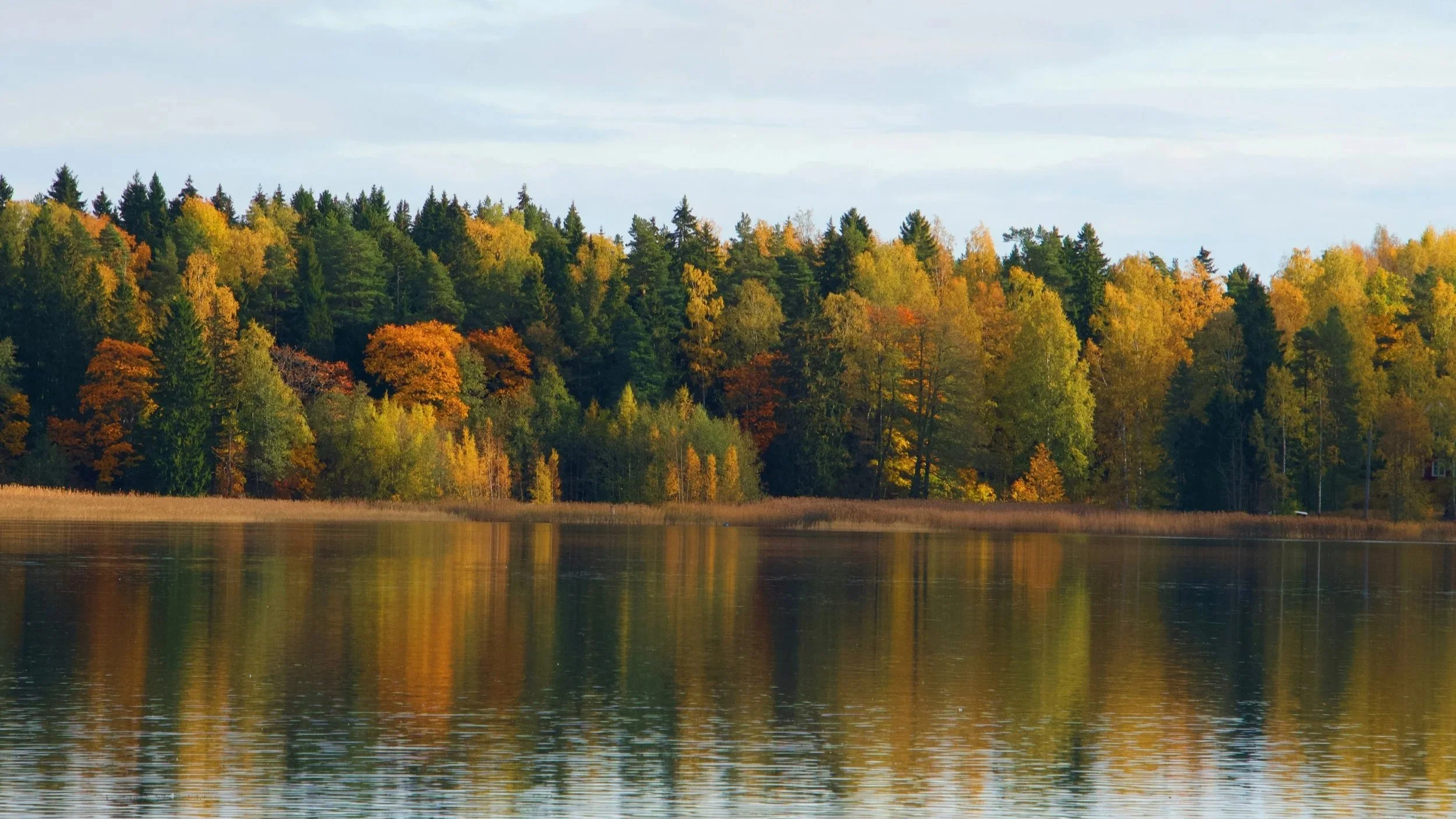 Autumn in Finland