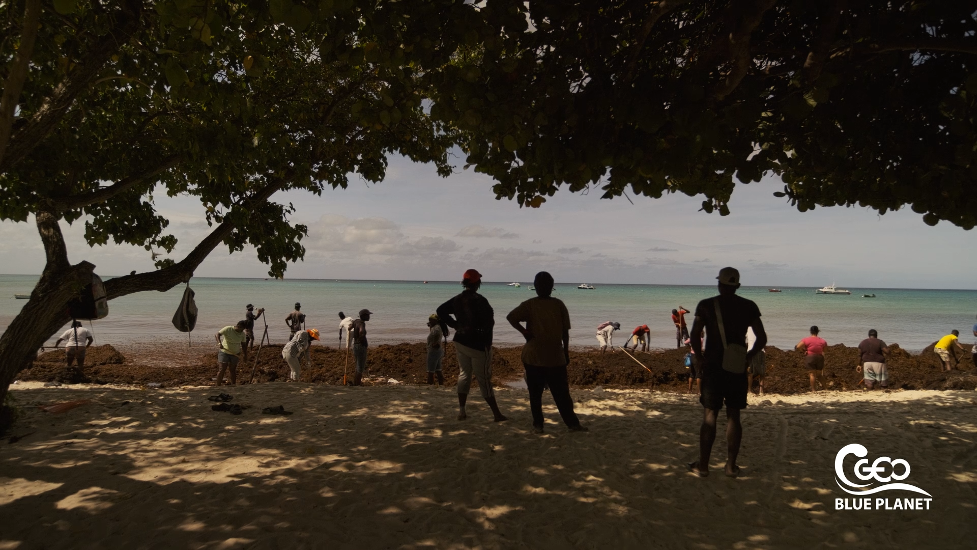 documentary production team in Barcelona and West Africa
