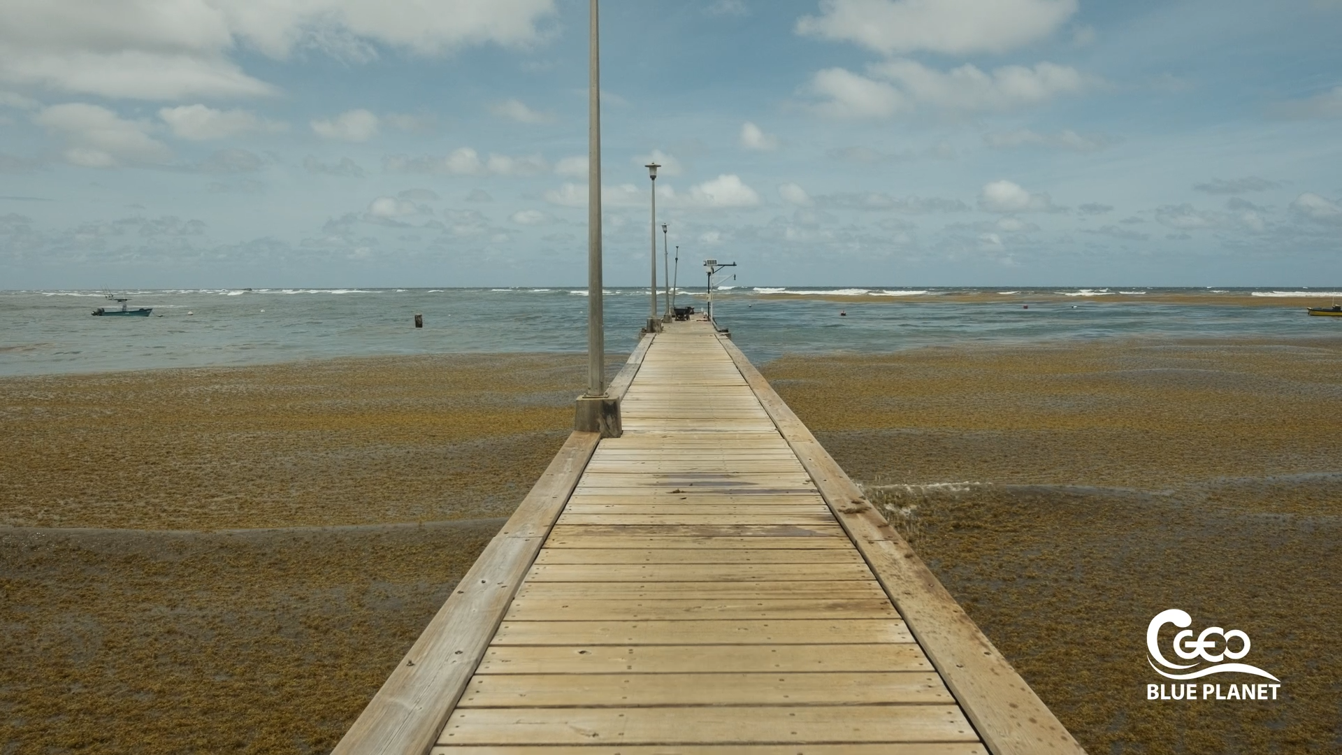 documentary production team in Barcelona and West Africa