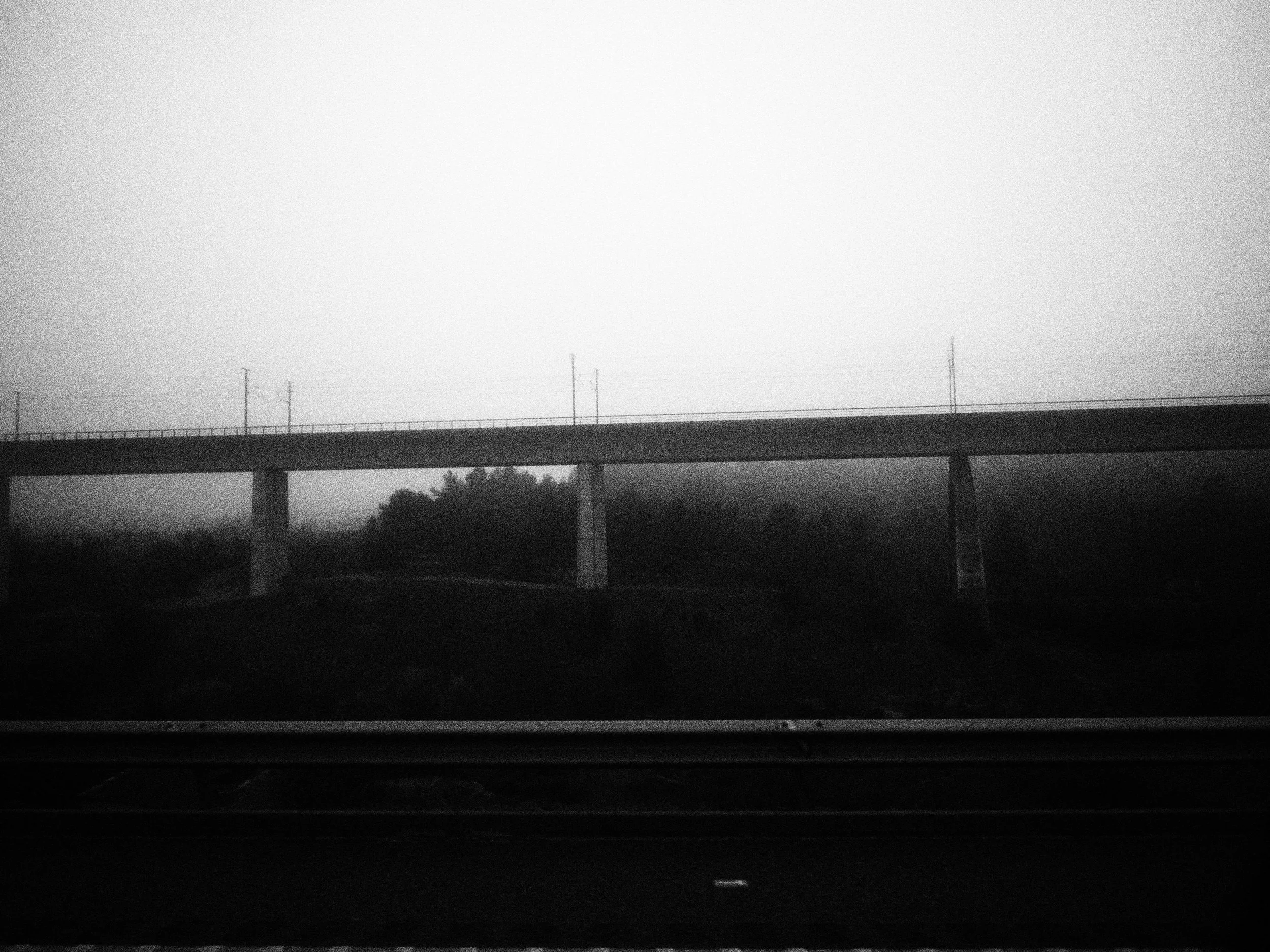Black and white photo of a bridge over a landscape with trees and a foggy sky.