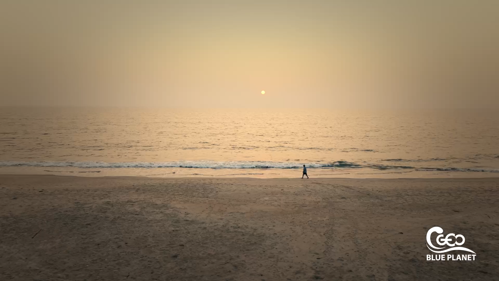 documentary production team in Barcelona and West Africa