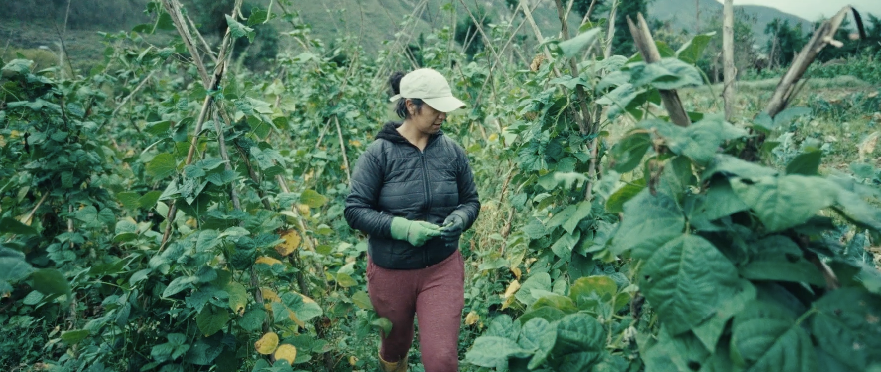 HOW DATA IS HELPING ECUADOR
