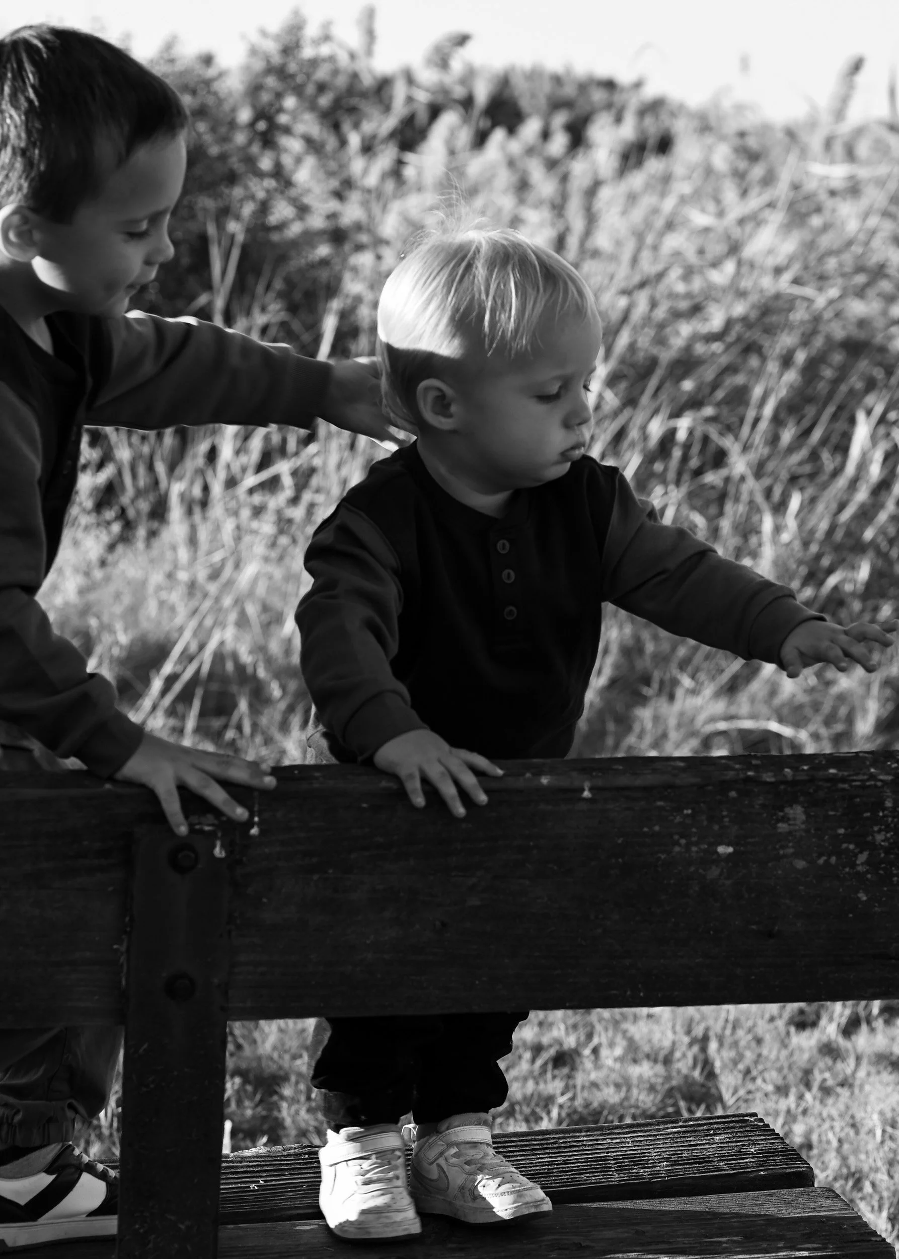 familyalbum-34.jpg