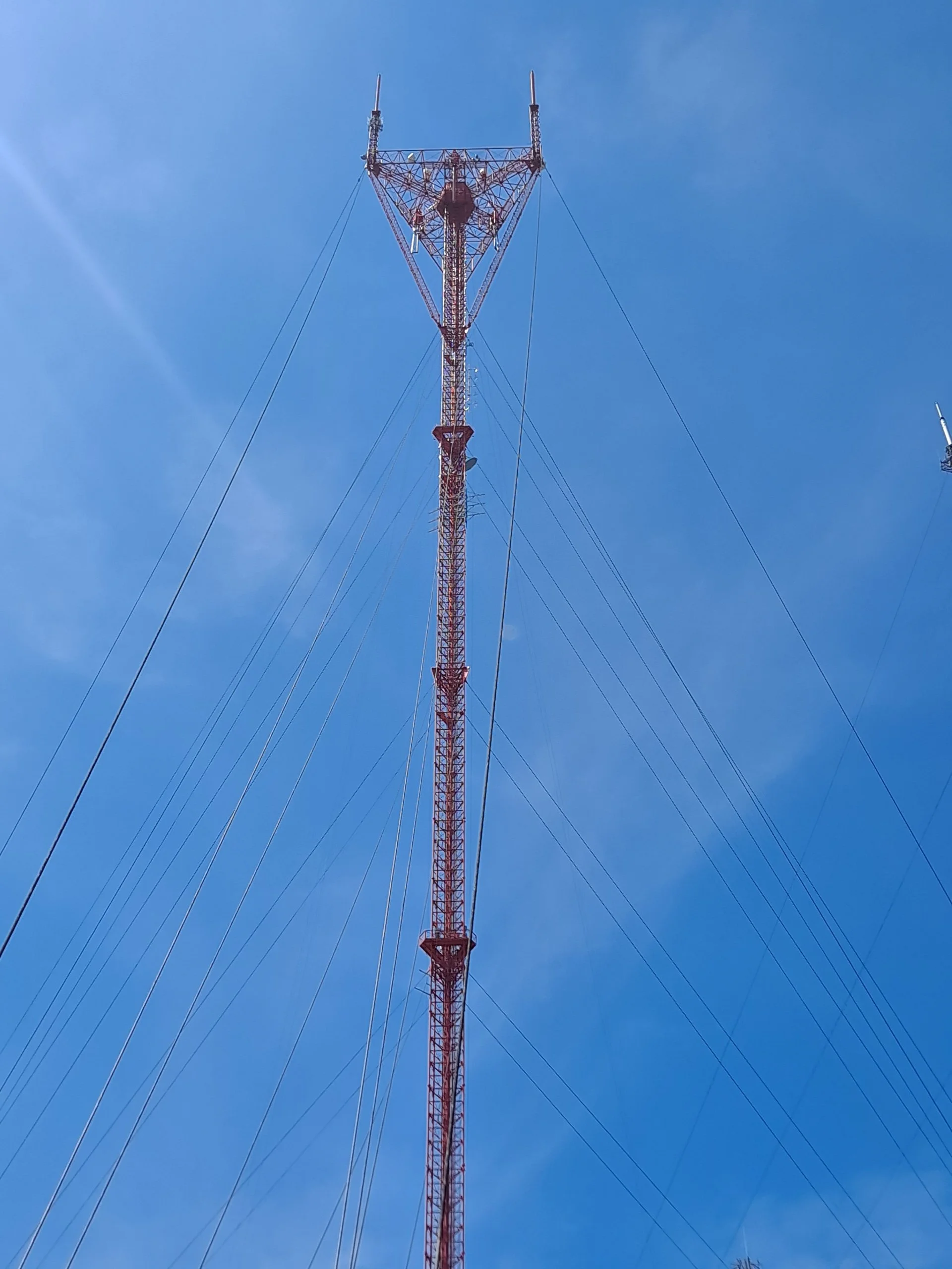 783.jpg