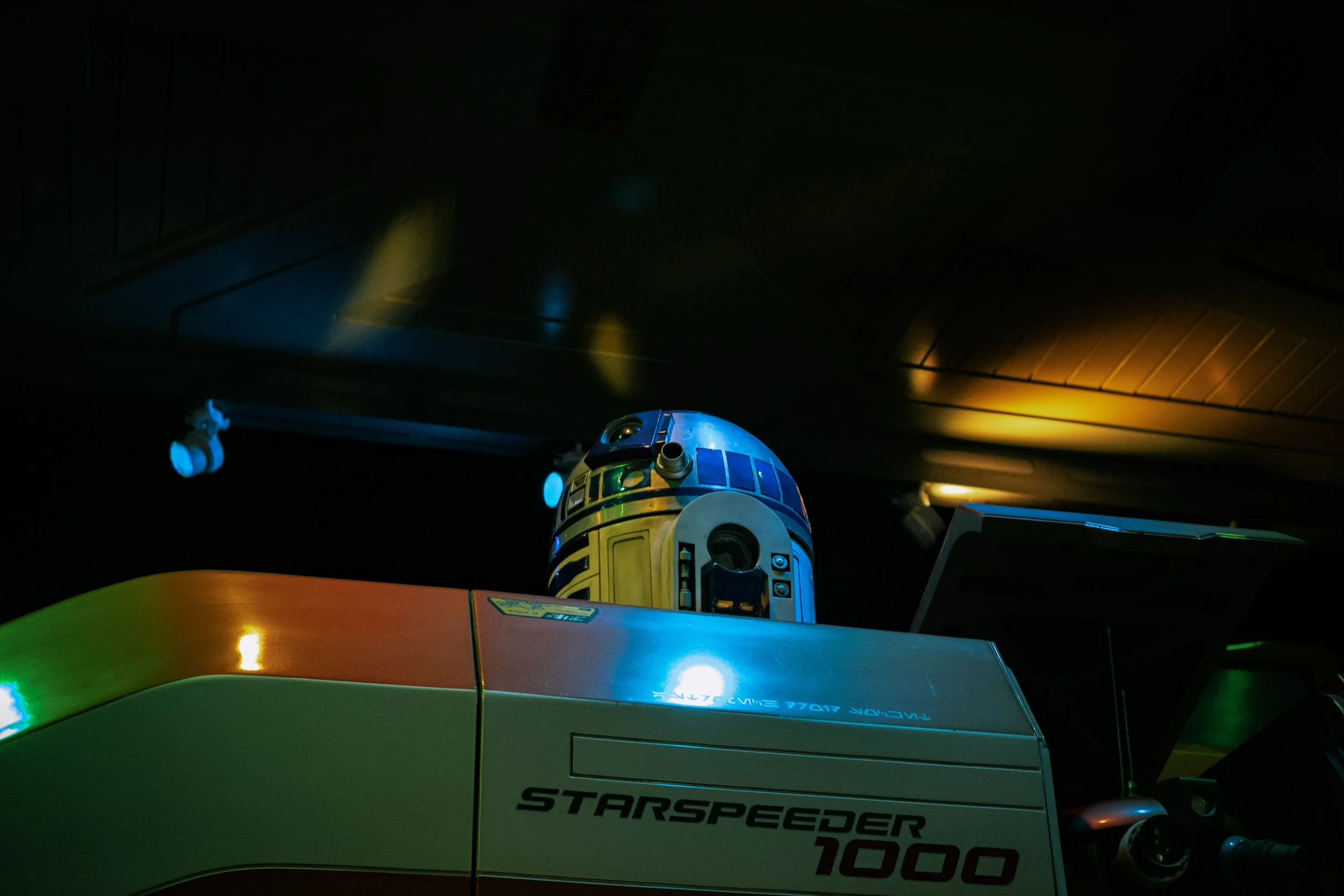DSCF0952.jpg