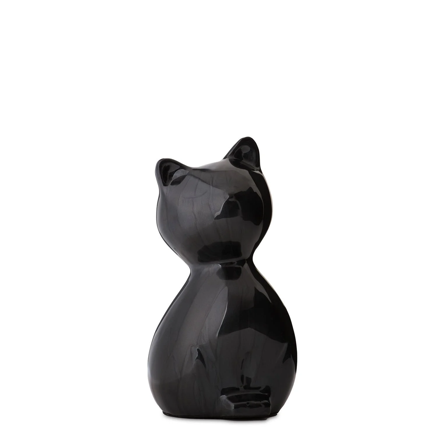 Midnight Cat