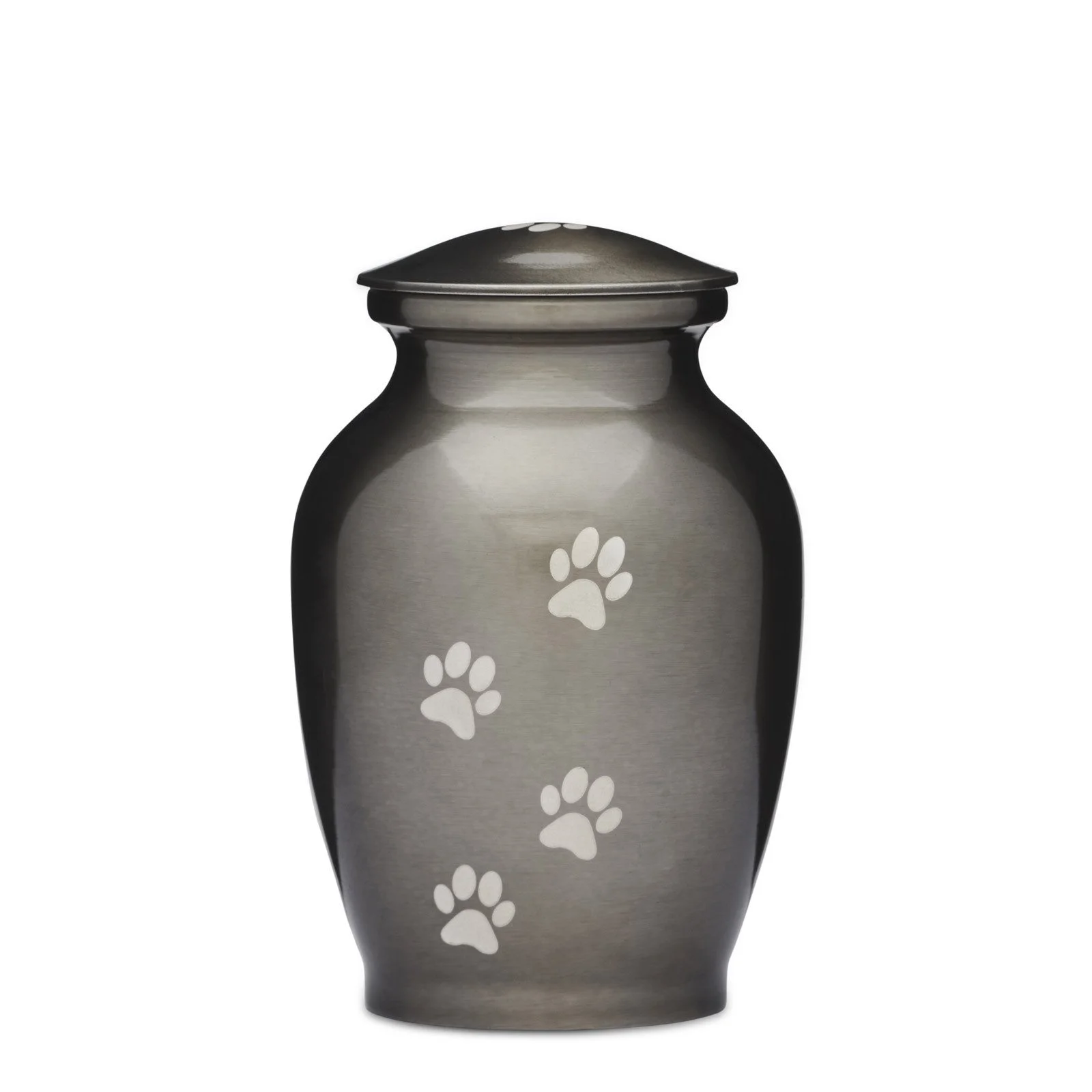 Silver Paws to Peace