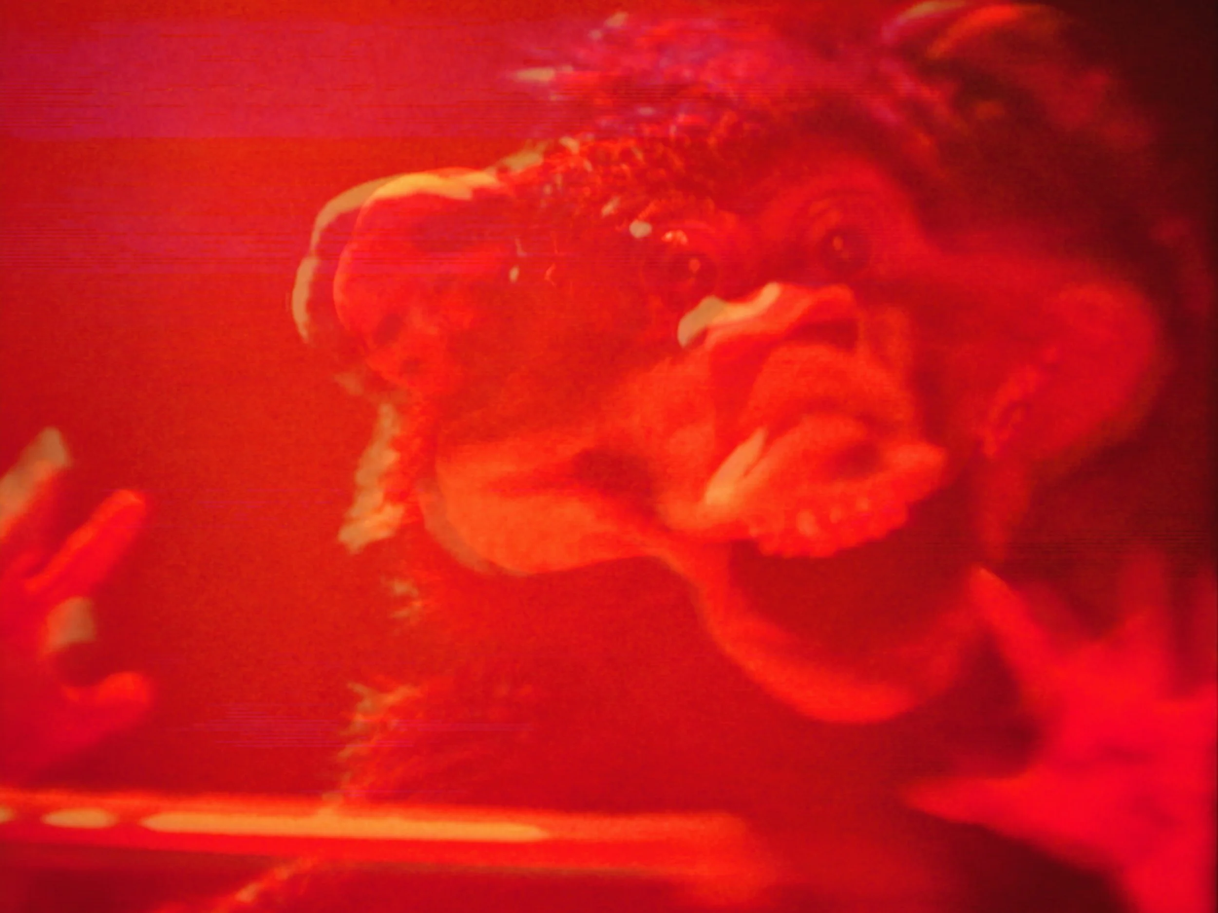 Monkey's Magic Merry-Go-Round_Still_59.jpeg