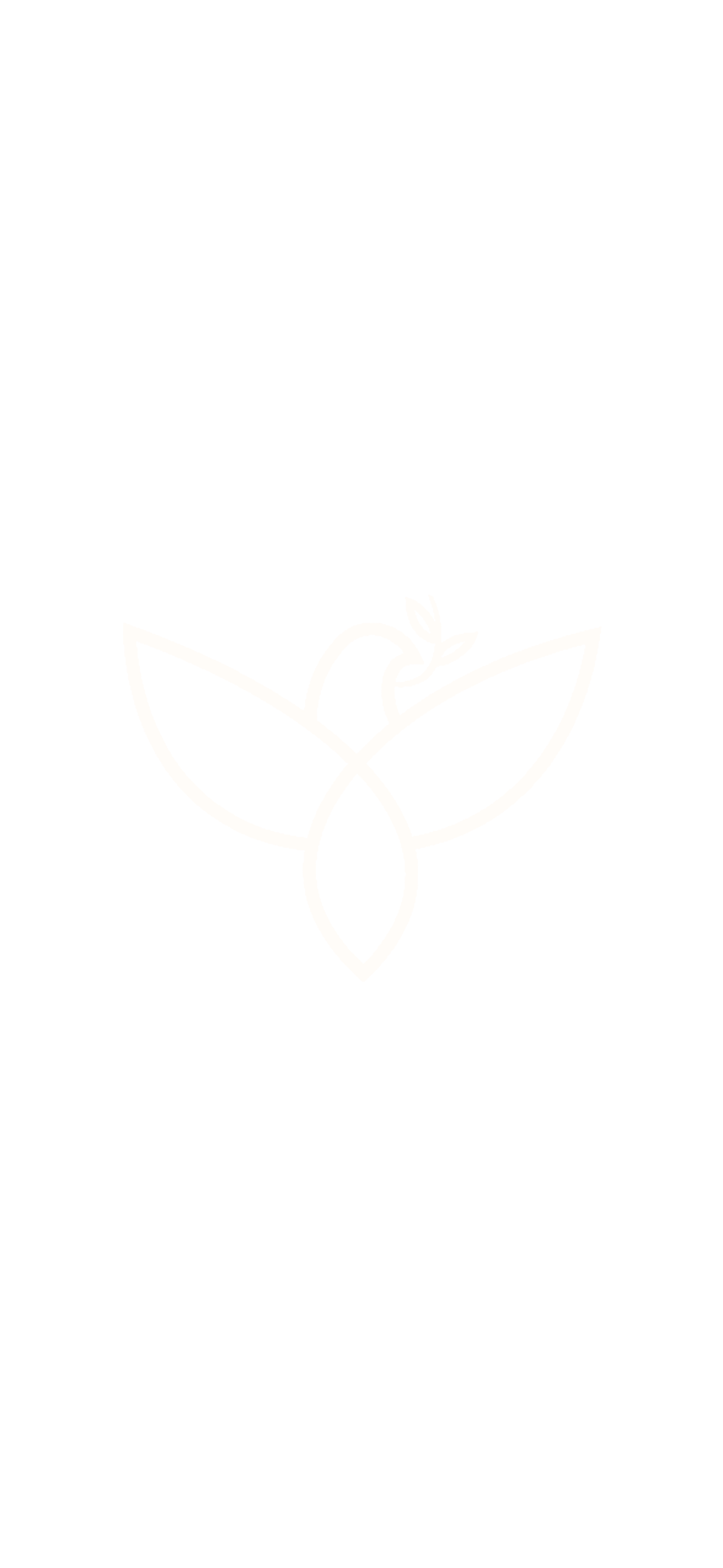 Logo minimaliste avec un œuf stylisé, deux feuilles, et un bouton de fleur en dessous, tout en blanc sur fond noir.
