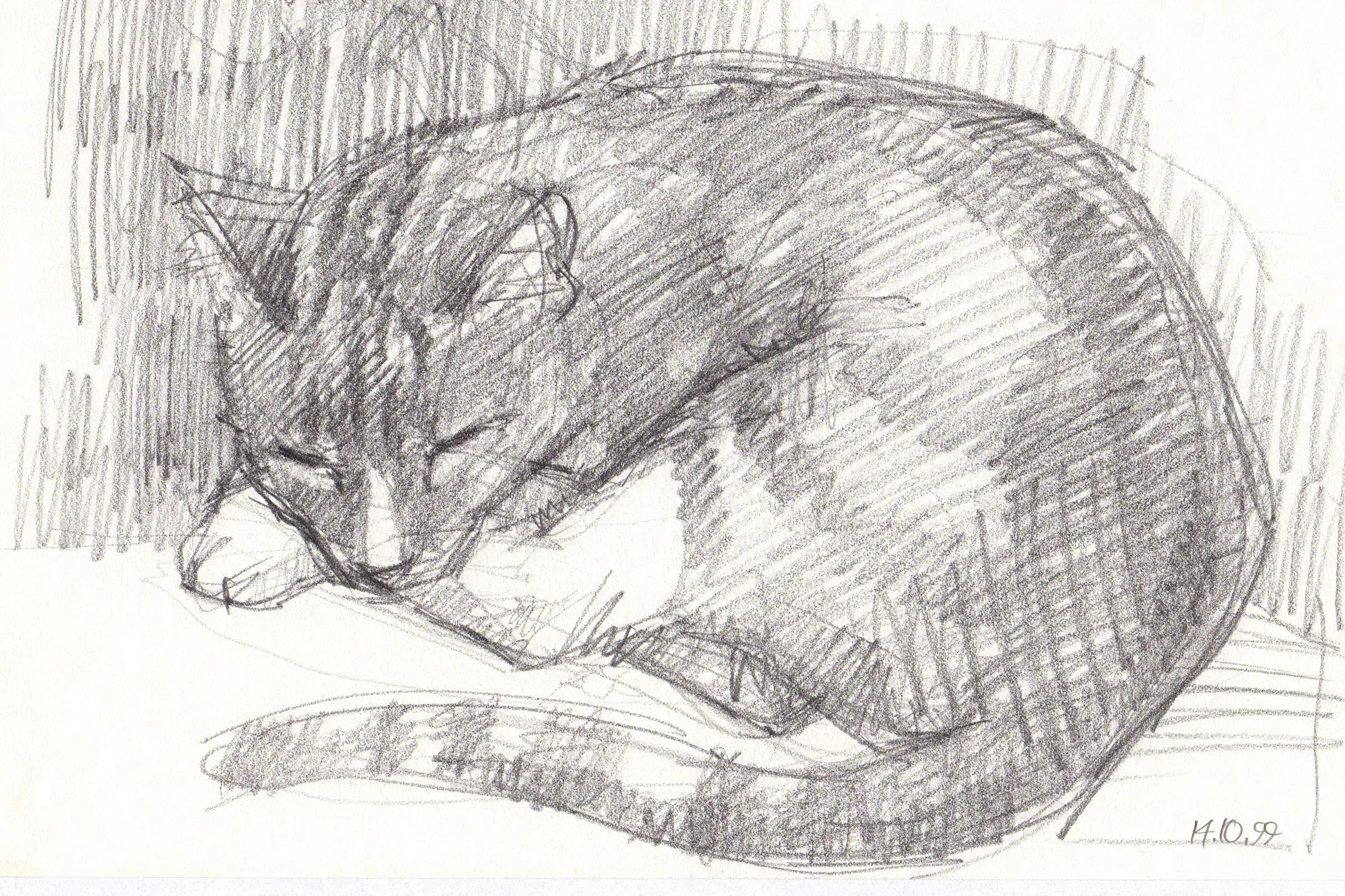 Handzeichnung einer zusammengerollter Katze mit geschlossener Augen und leicht geneigtem Kopf, auf einem Blatt Papier. Das Datum 14.09. ist unten rechts sichtbar.