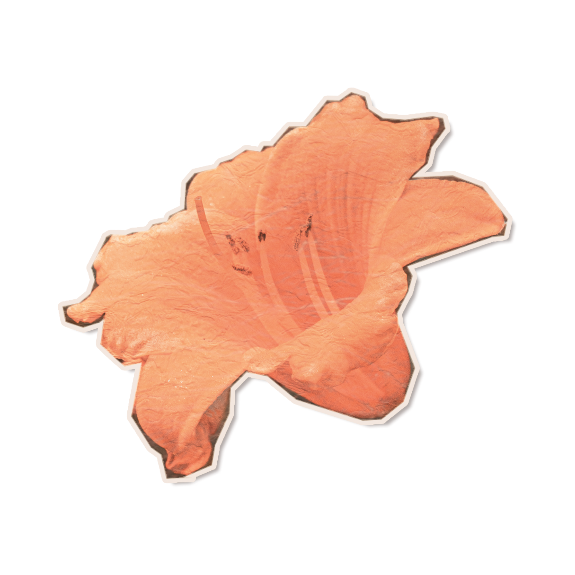 A cutout illustration of a sweet potato with a brownish-orange skin.