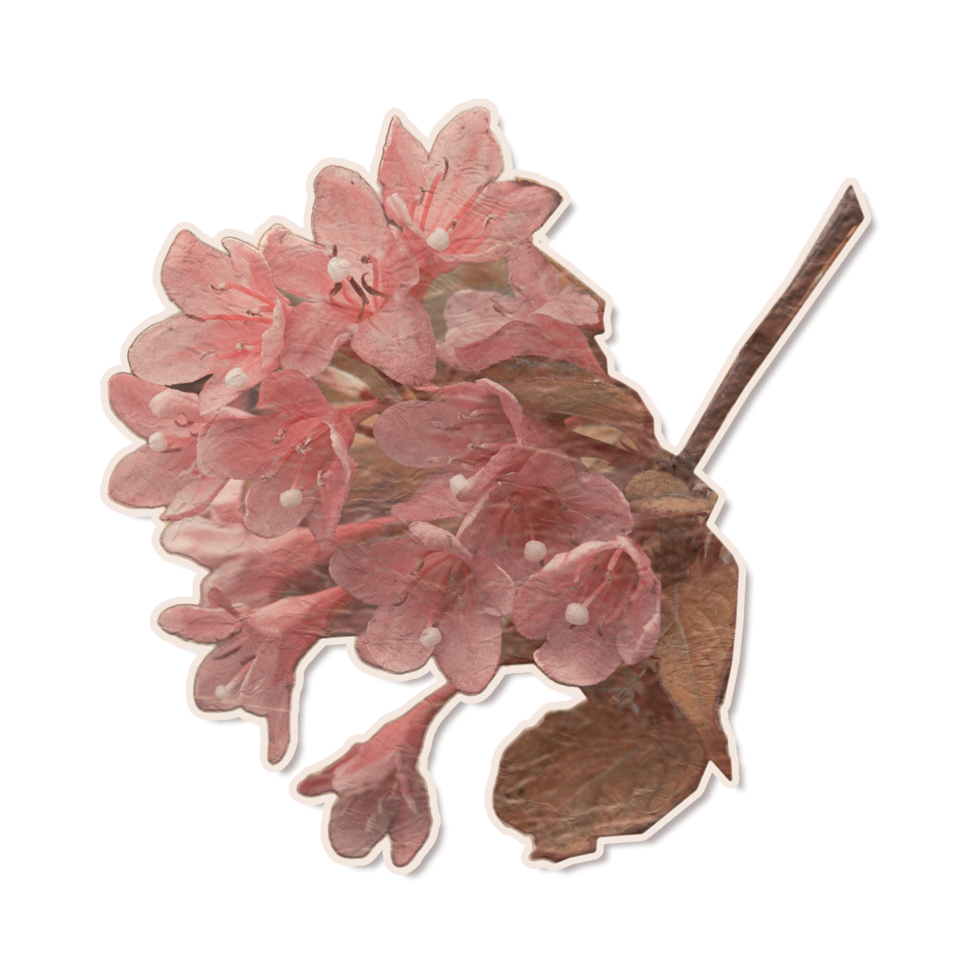 Pink flower bouquet in a brown paper wrapper in a paper sleeve with a brown stick.