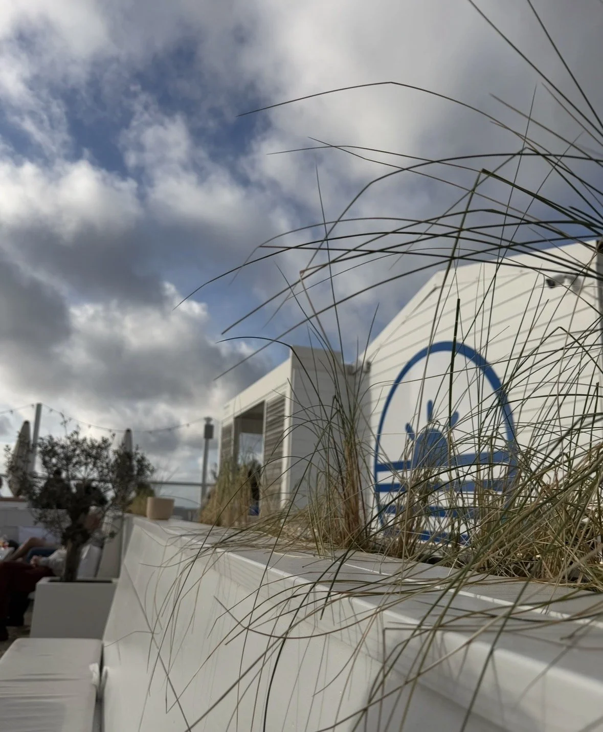 View of a outdoor scene with a white building, tall dried grass in the foreground, and a partly cloudy sky in the background.