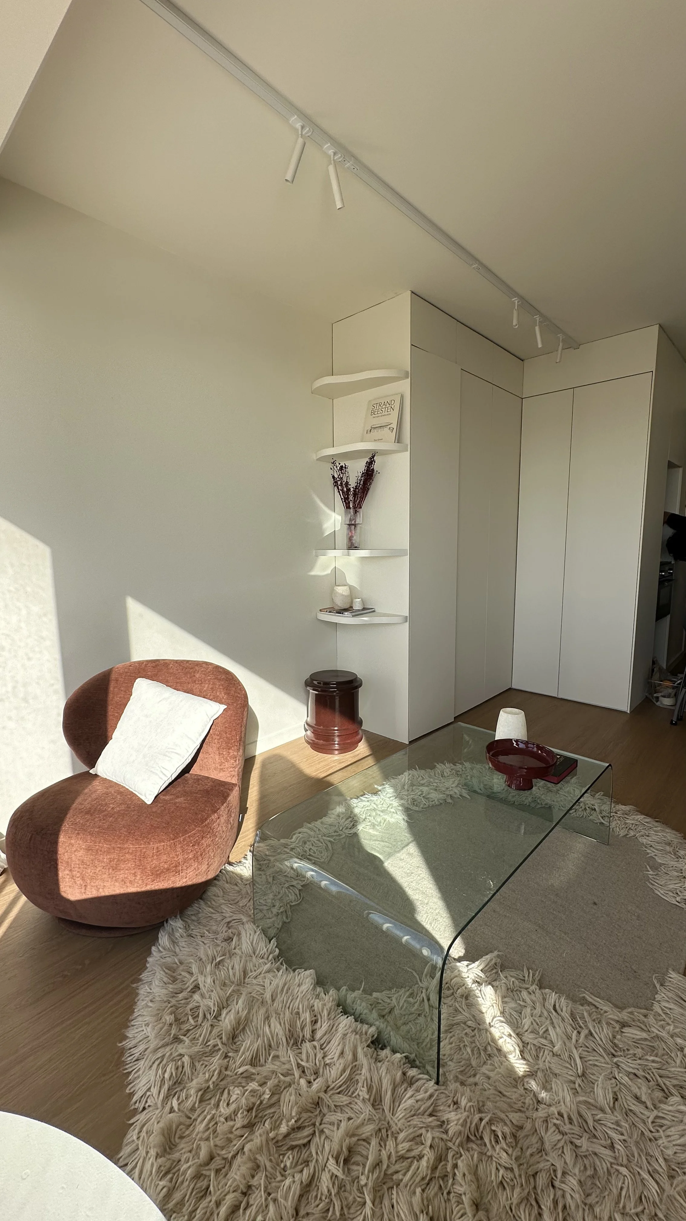 Living room with a round rust-colored chair with a white pillow, a glass coffee table, a shaggy beige rug, a white wall with a built-in shelving unit holding a vase with dried flowers, a book, and small decorative objects, and a track lighting system