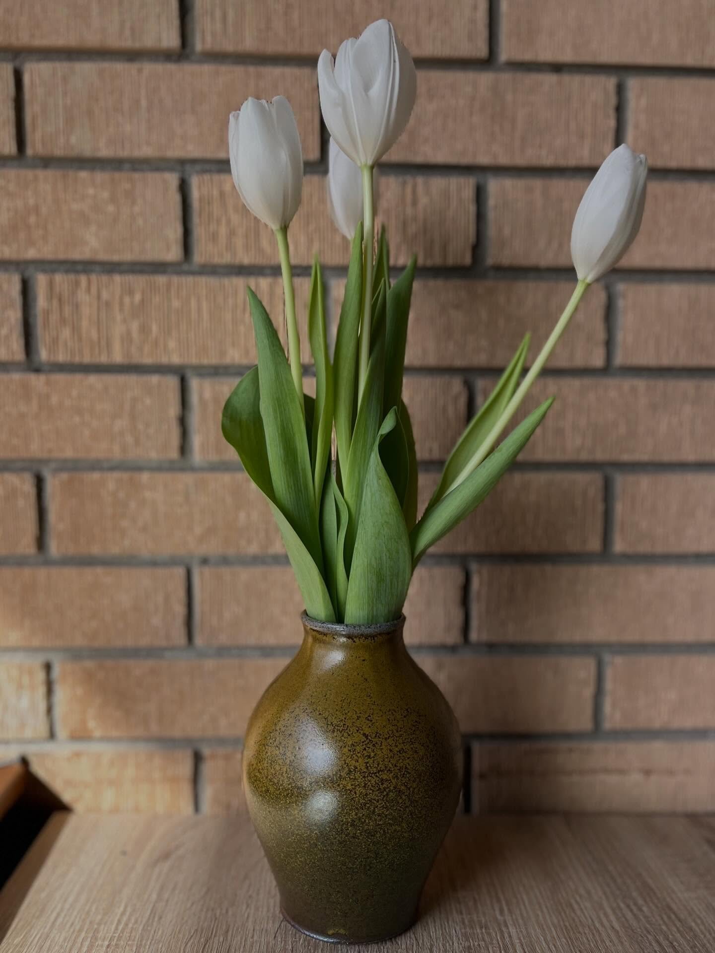 tulips, temmoku, the moon and some joy
