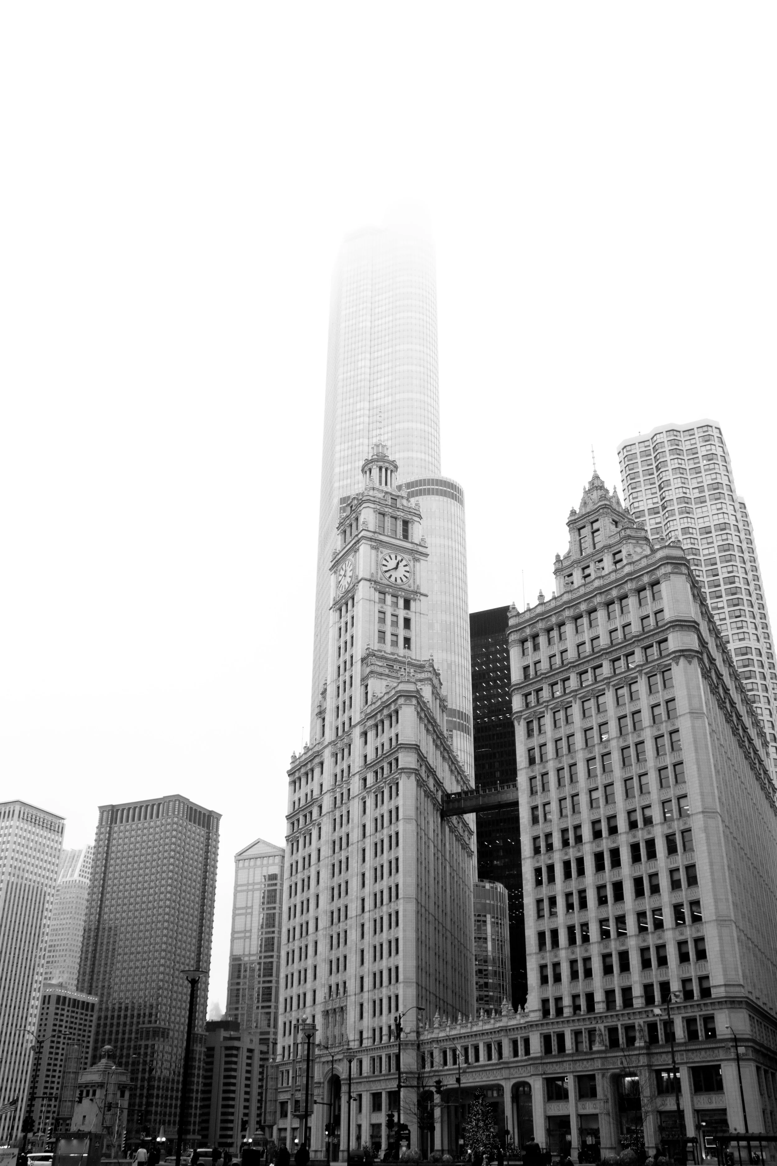 _MG_3384.JPG
