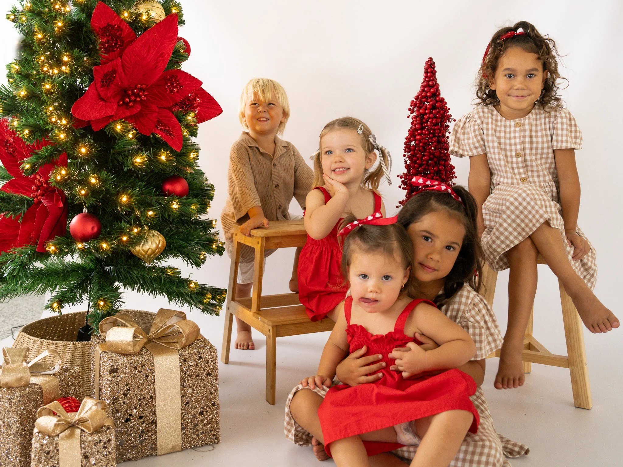 Christmas Mini's