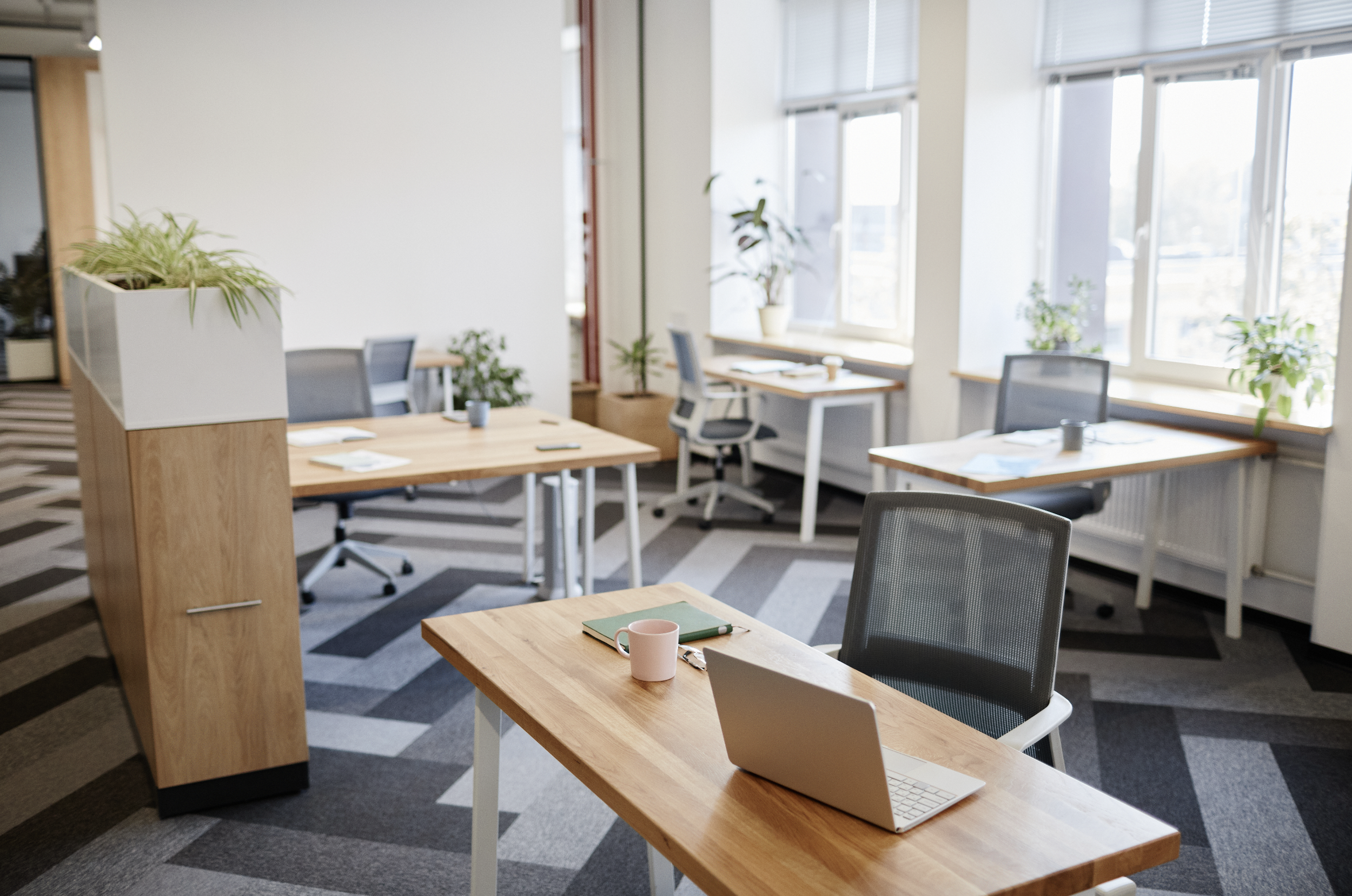 A modern office space with wooden desks, mesh chairs, and a laptop on one of the desks. There are large windows letting in natural light, some potted plants, and a patterned carpet.