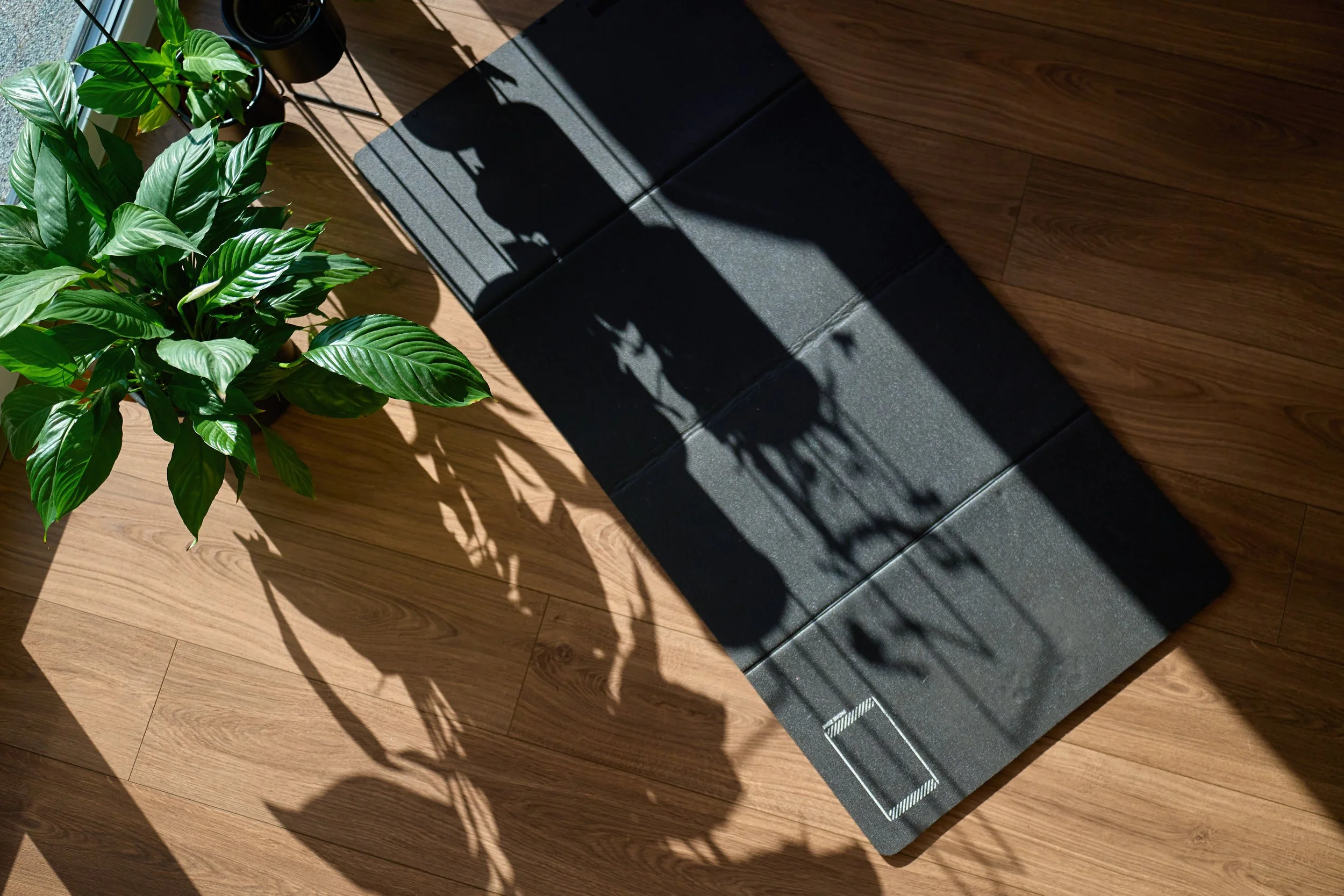 Sunlight casts shadows of houseplants onto a wooden floor near a black foam roller.
