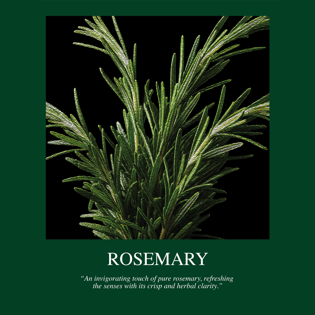 ROSEMARY LABEL.png