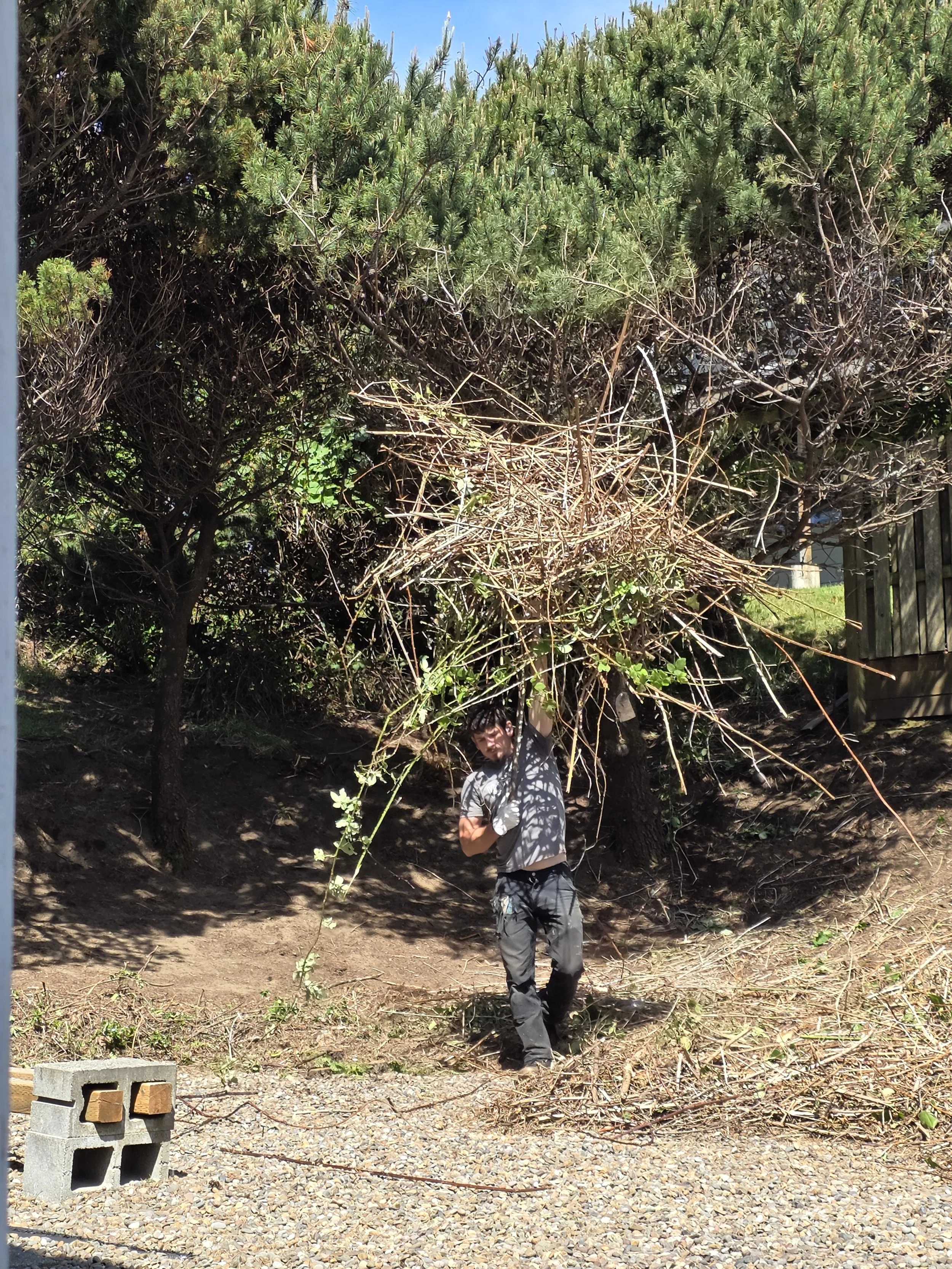 Property Clean Up