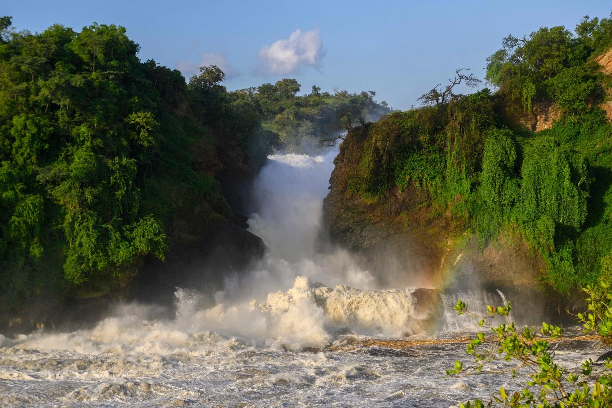 Cascada en medio de una selva verde con cielo azul y algunas nubes blancas.