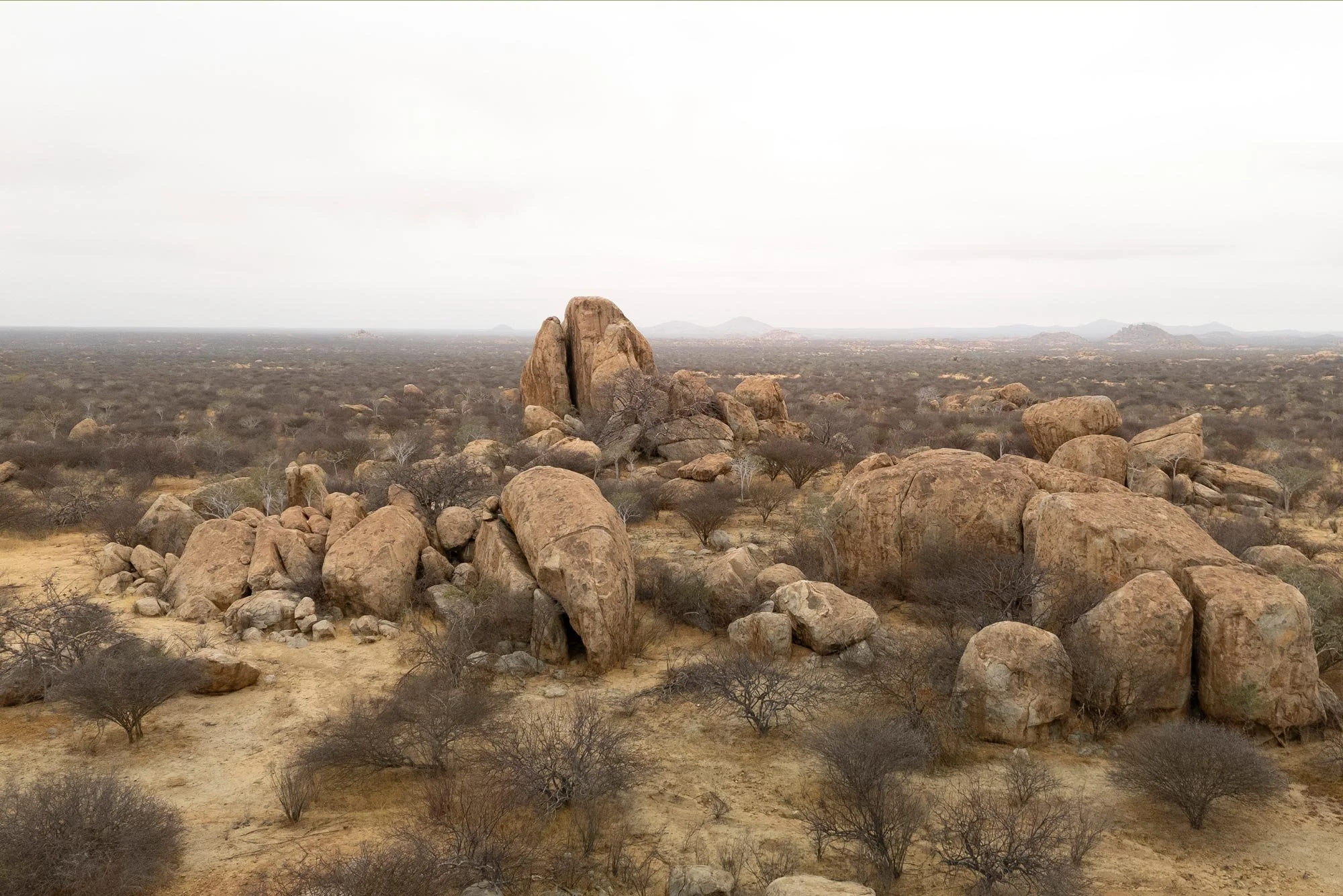 Paisaje desértico con rocas grandes y arbustos dispersos, horizonte con montañas lejanas y cielo despejado.