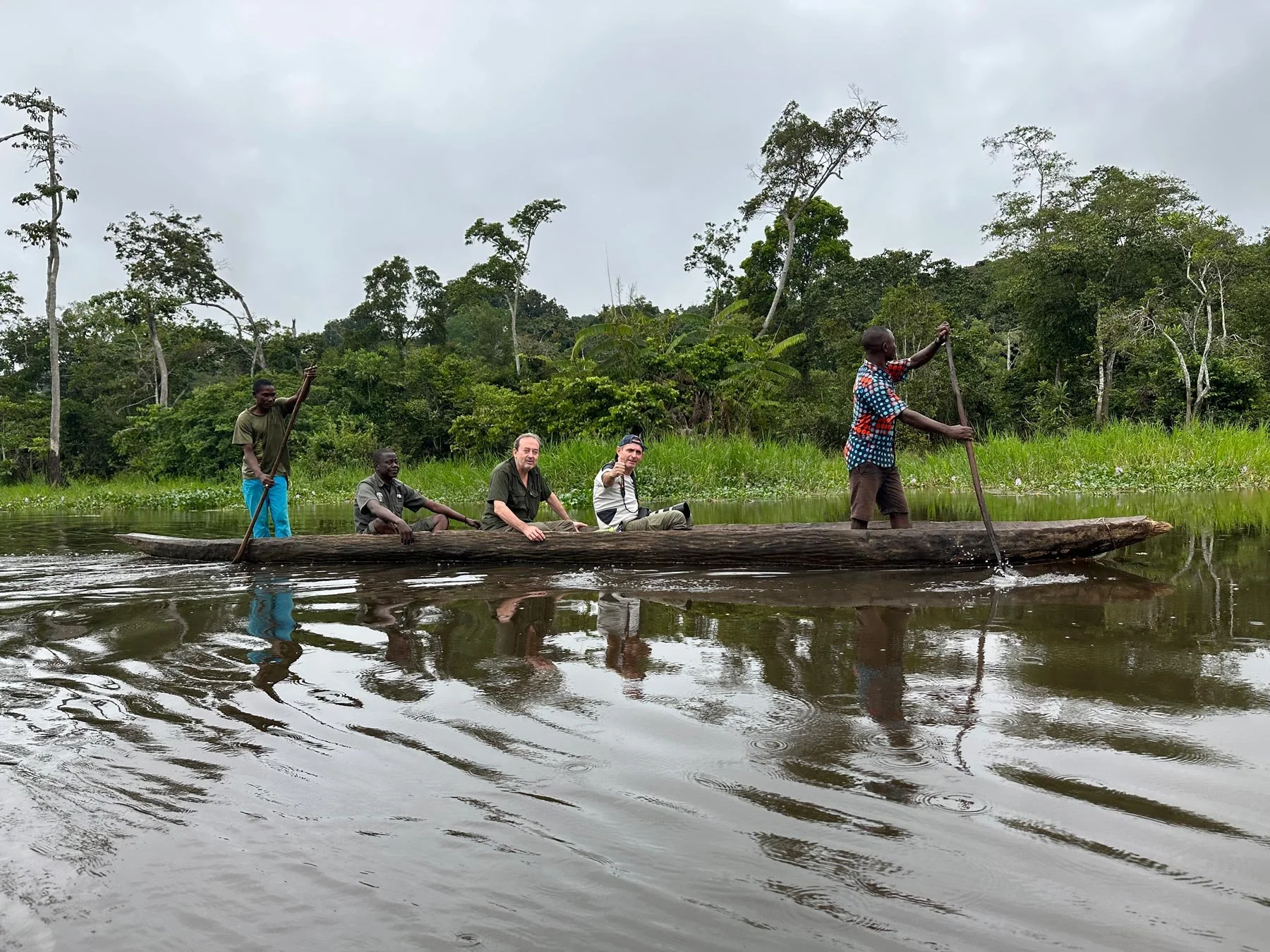 Dzanga-Sangha: cómo llegar al corazón verde de África