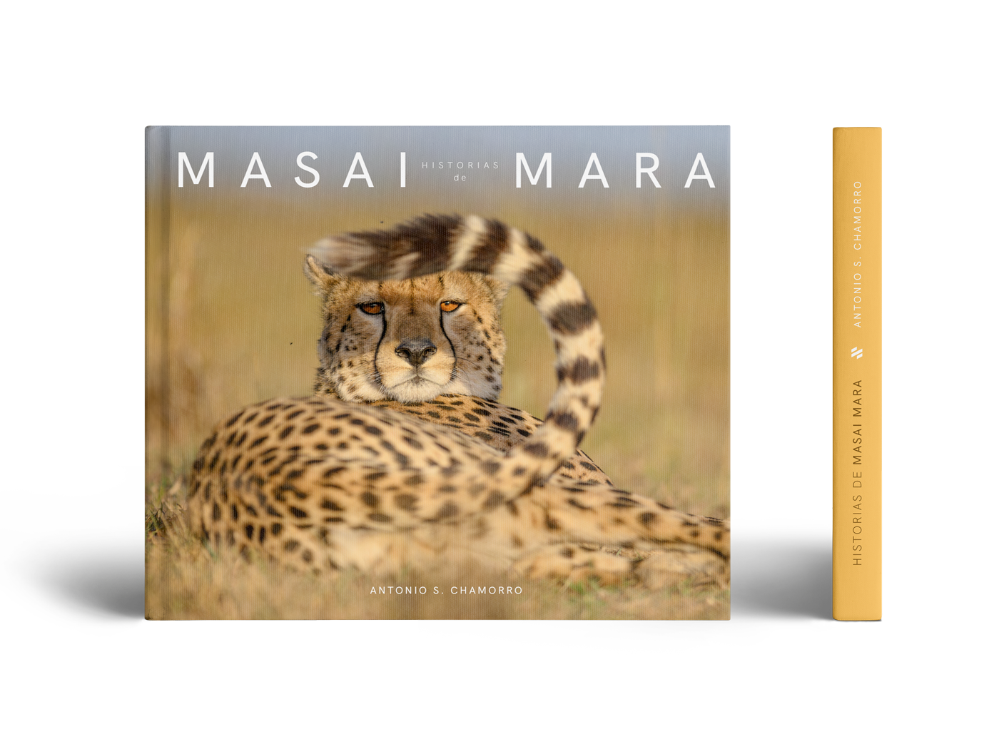 Portada de un libro titulado "Historias de Masai Mara" con la imagen de un guepardo acostado en la hierba, mirando hacia la cámara.