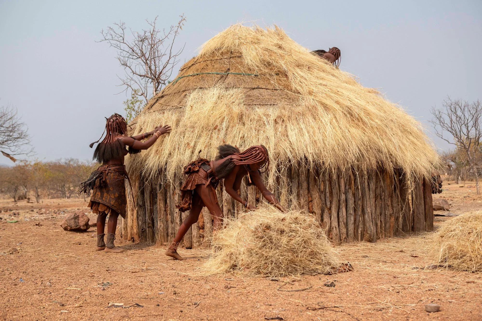 Personas africanas construyendo una choza con materiales naturales en una zona árida con árboles dispersos.