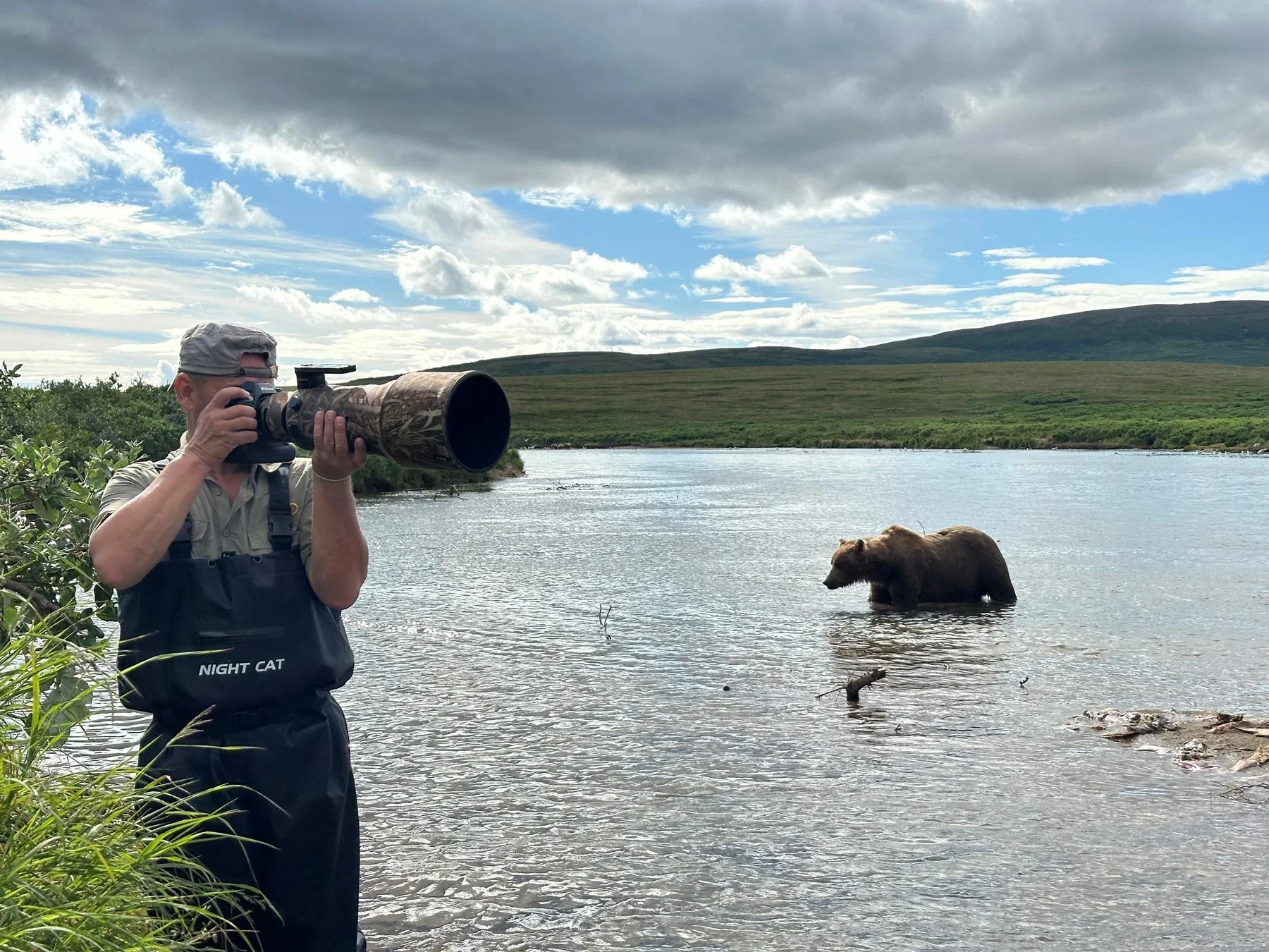 Alaska en estado puro: entre osos y salmones en Katmai