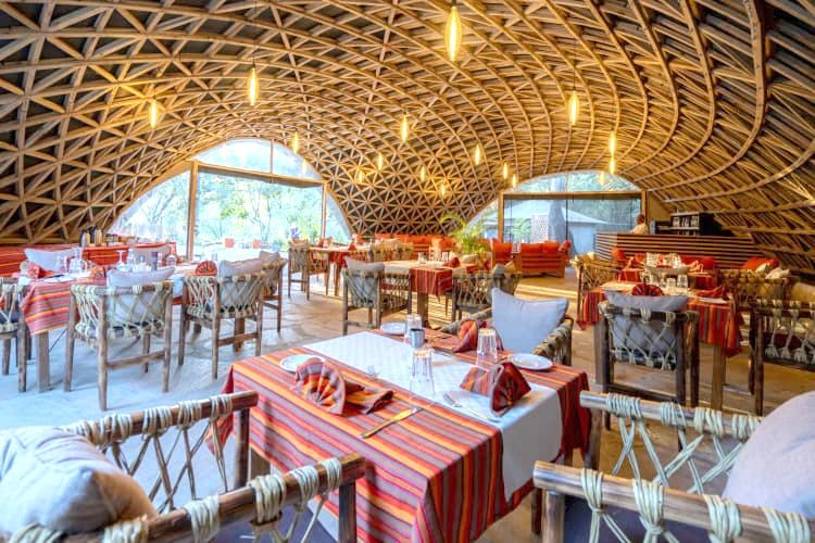 Restaurante con decoración moderna y techo de estructura de madera curva, mesas con manteles a rayas y sillas de diseño rústico, ambiente luminoso y acogedor.
