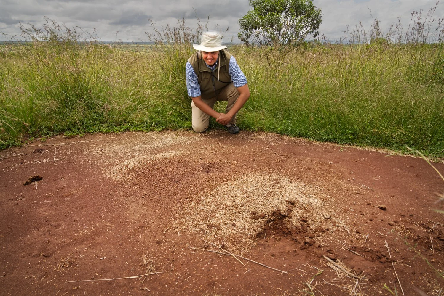 Secrets of the Ant Trade for BBC World Service