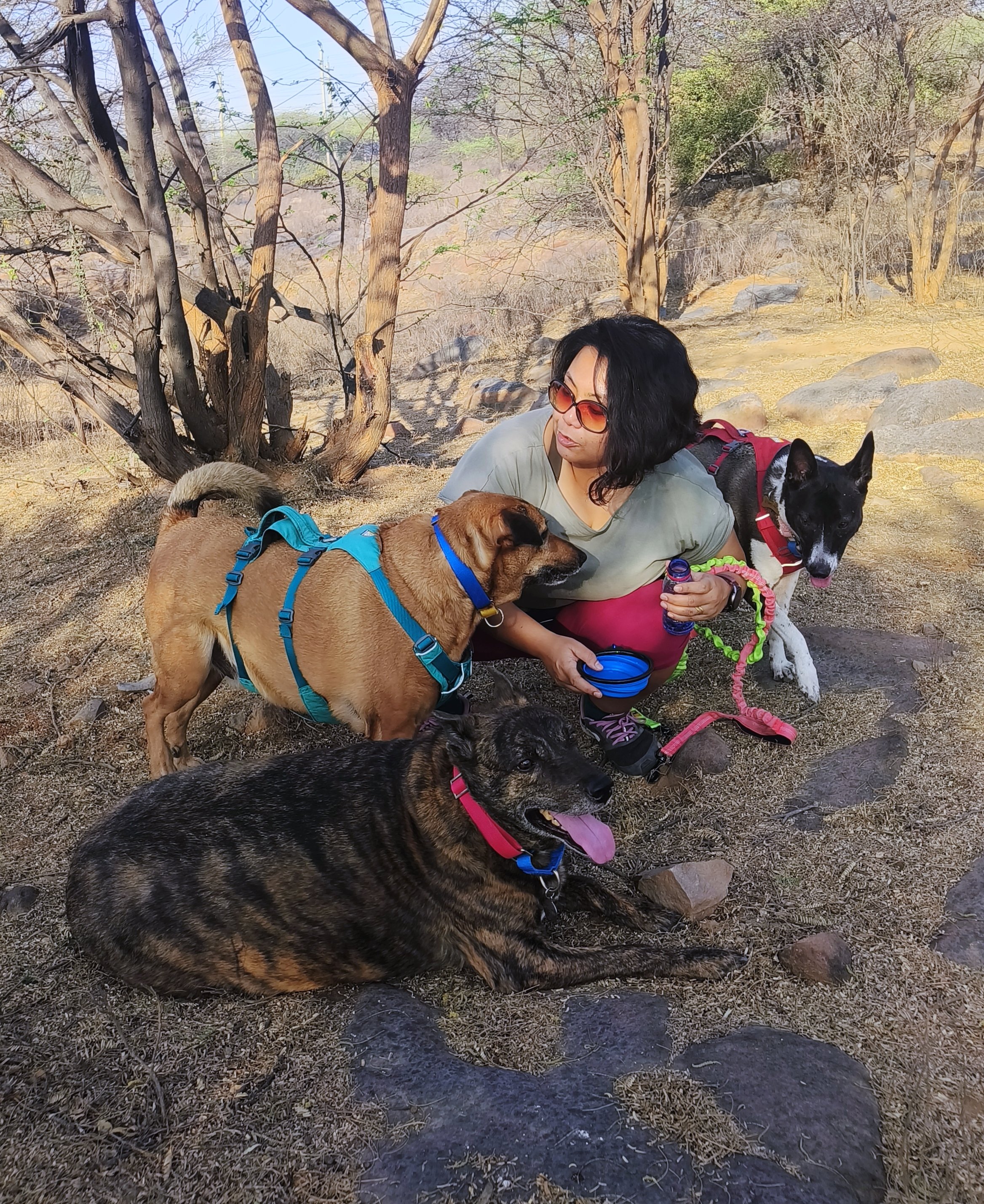 A woman with her three dogs on a hike taking a water break