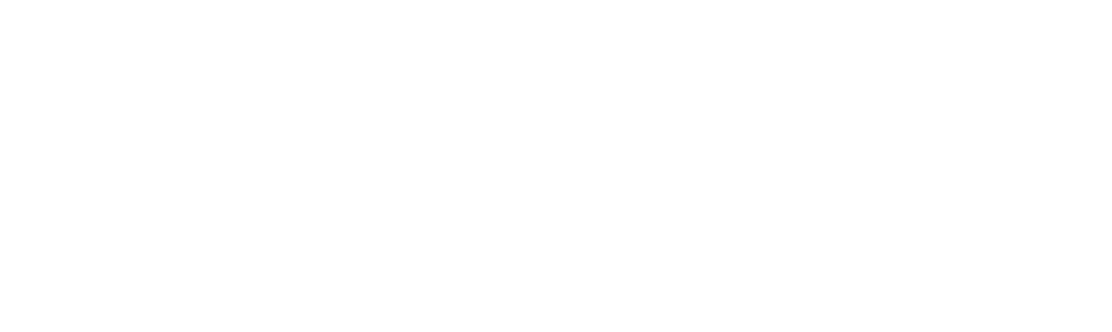 RoiBuch