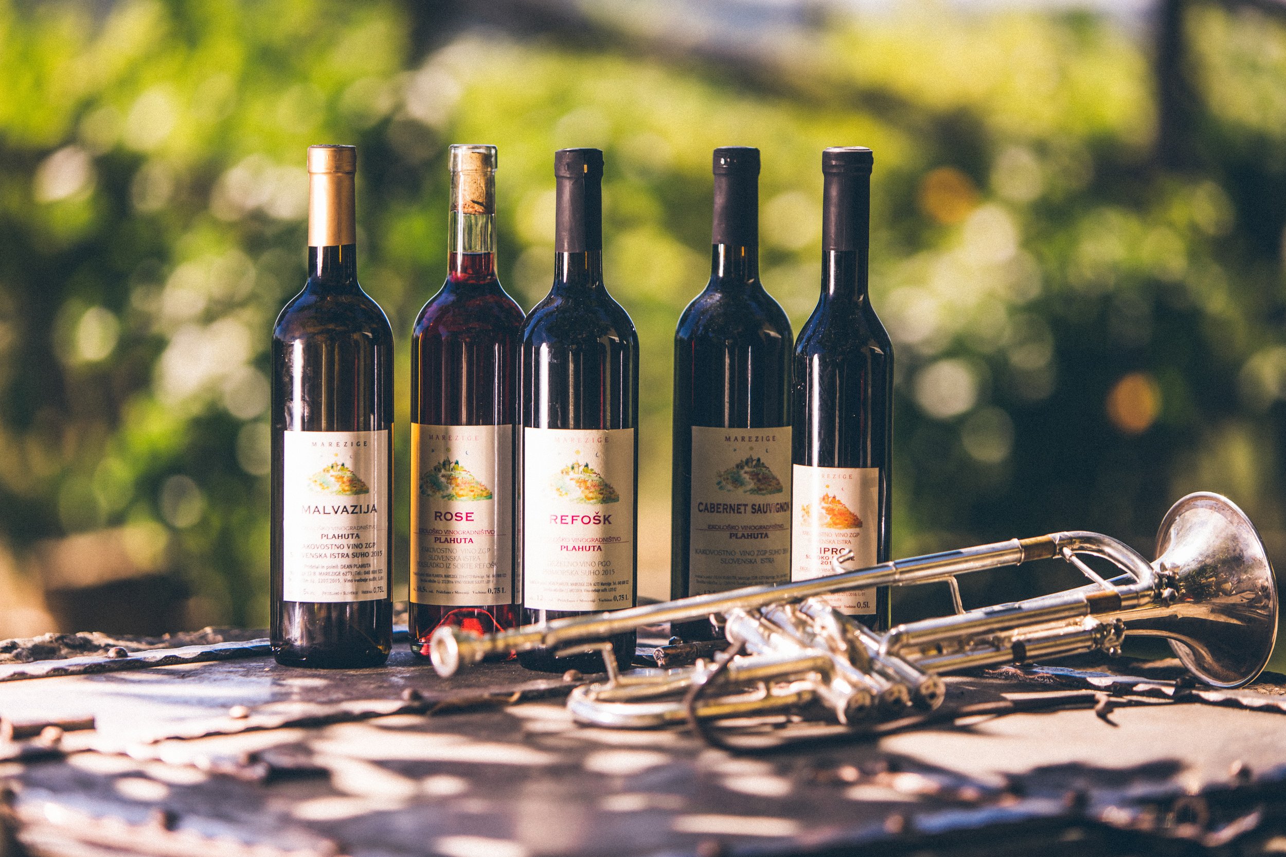 Five bottles of wine placed on a grill, with green blurred trees in the background.