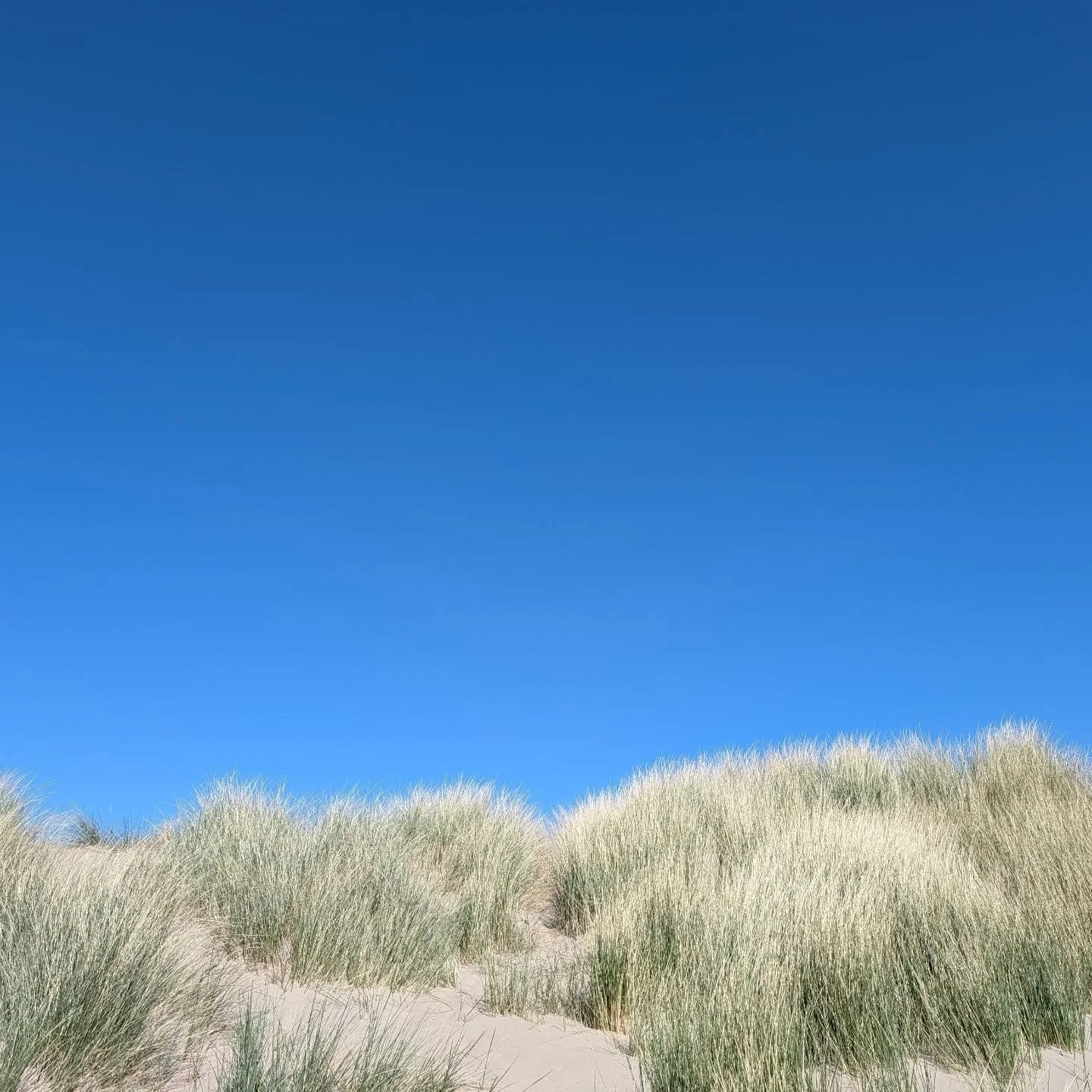 Black Rock Sands is the new Barbados. Another awful day in Wales.