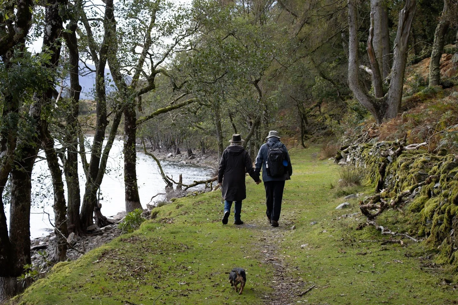 elderly couple walking by reservoir on precipice walk, dolgellau