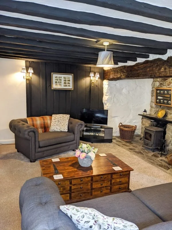 Lounge at Fro Awel Holiday Cottage