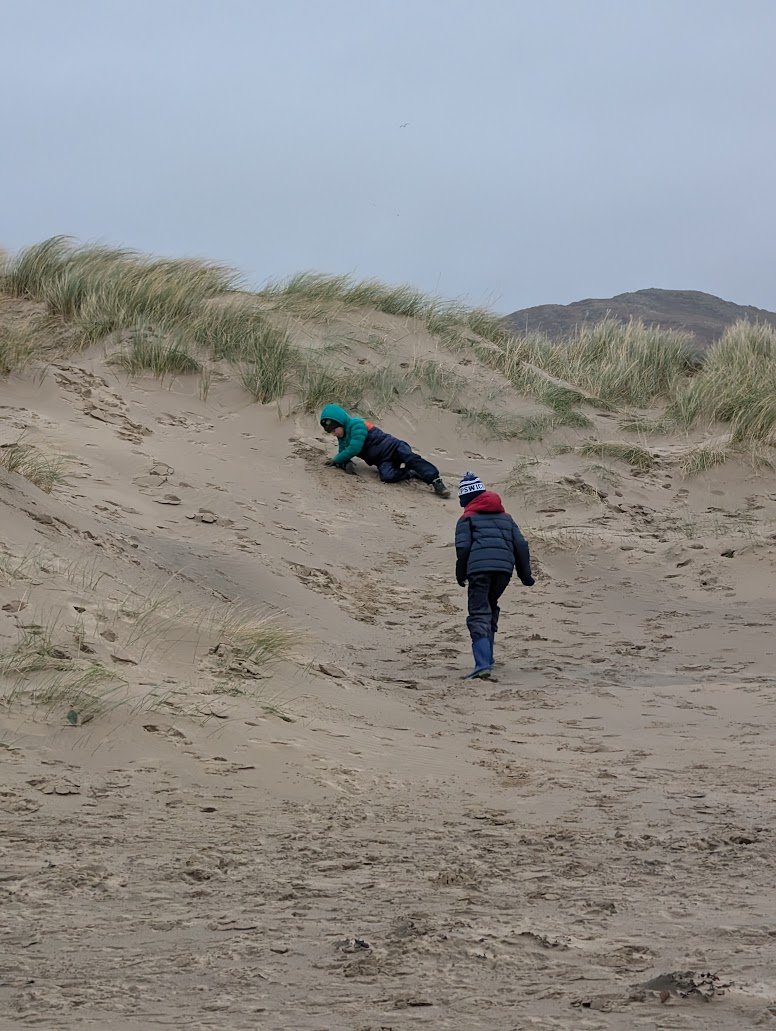Barmouth dunes in winter