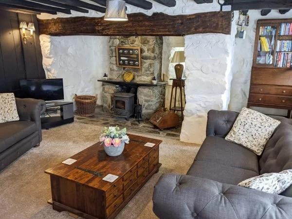 Woodburner at Fro Awel Holiday Cottage