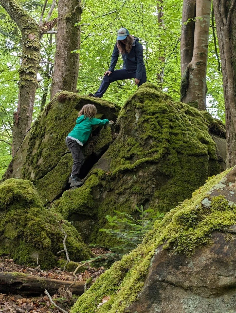 Climbing rocks on the torrent walk dolgellau