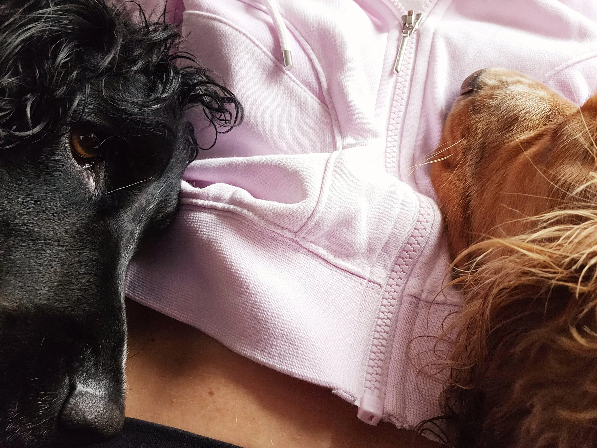 The World’s Worst Rester: How Active Rest Builds Strength, Balance, and a Calmer Mind
